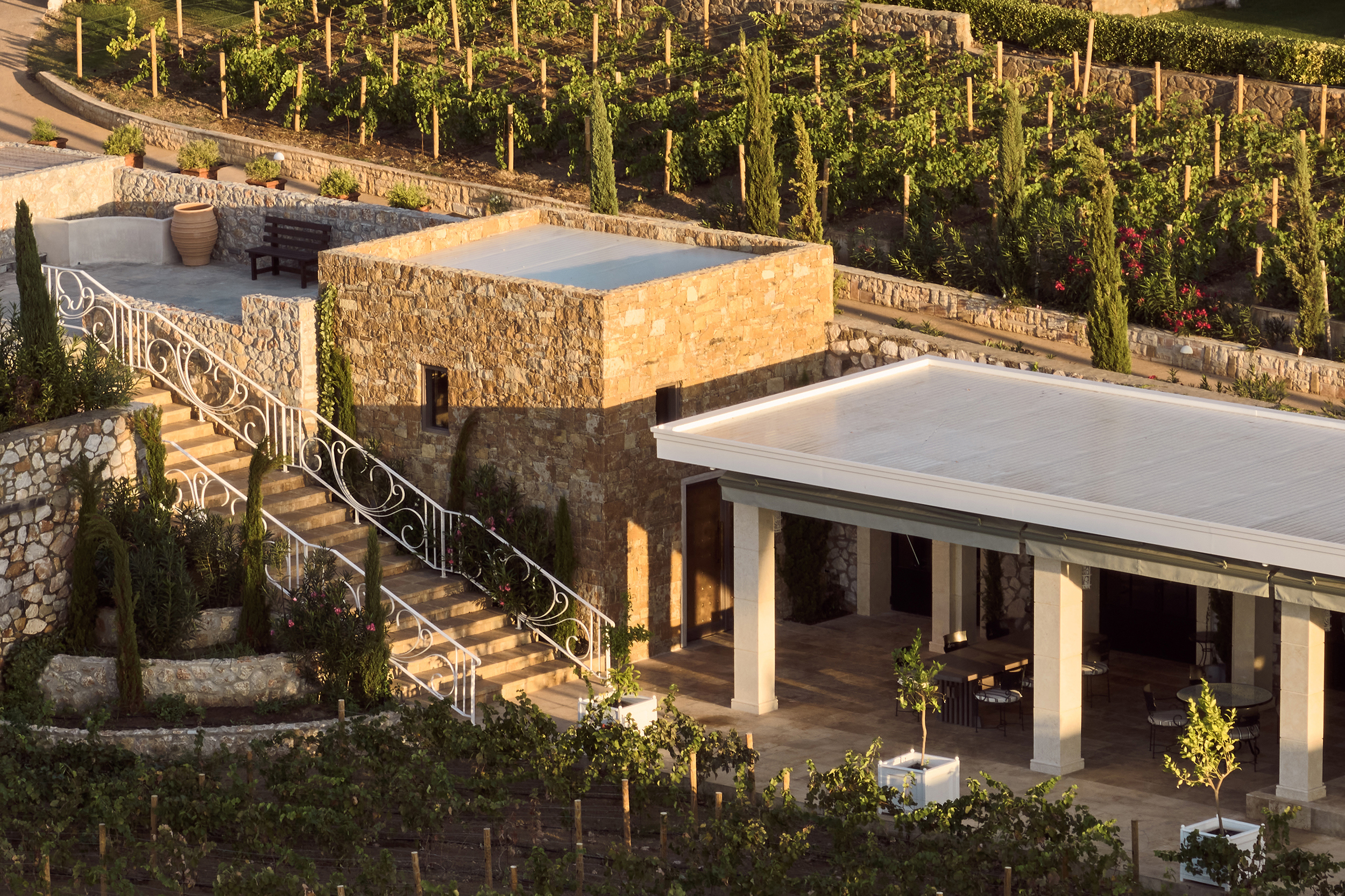 Europe & North Africa, Greece, Halkidiki, The Danai, Noble House Vineyard