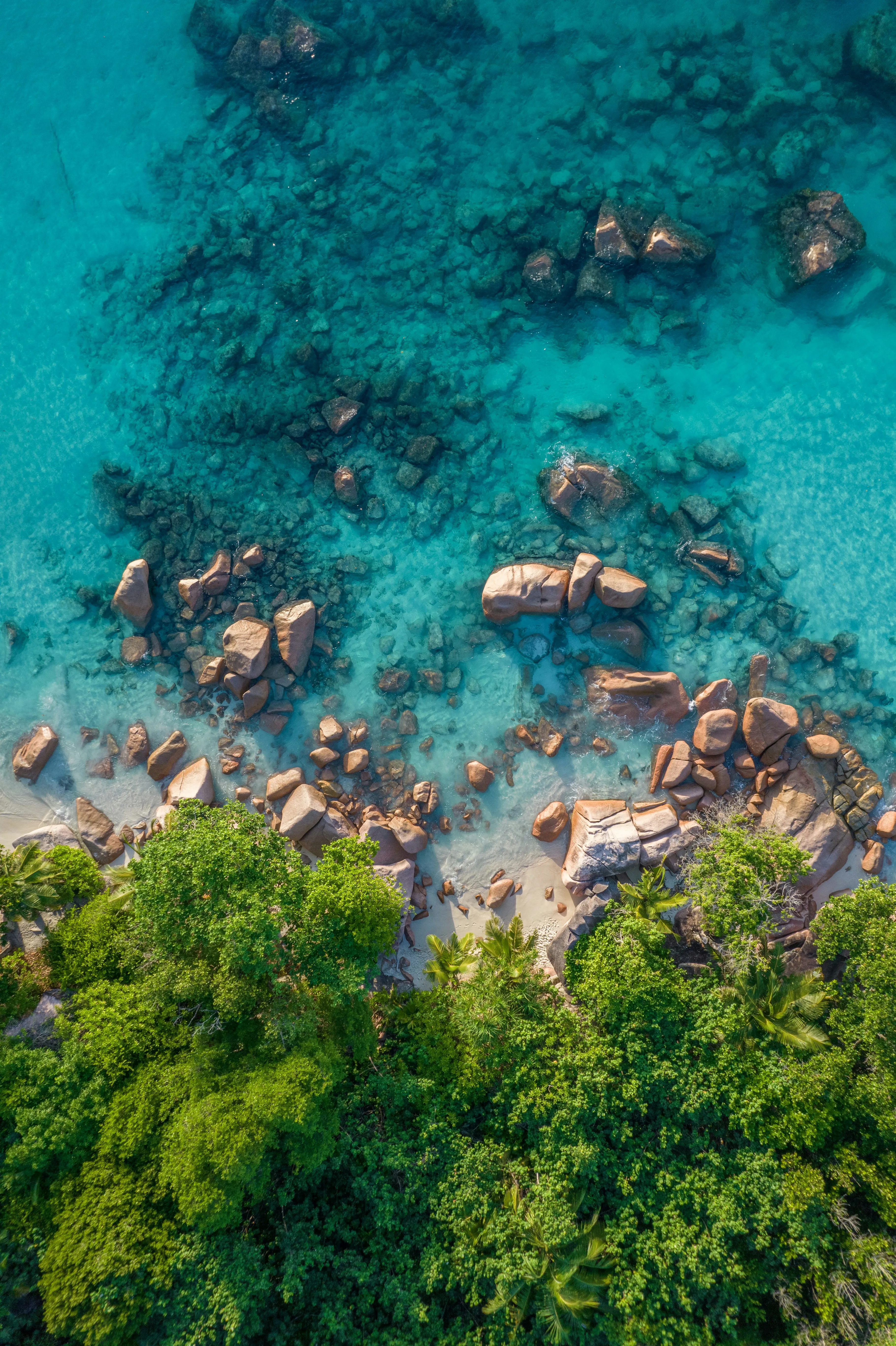 Aerial view of a tropical shoreline in the Seychelles with turquoise water, scattered rocks, and lush green forest.