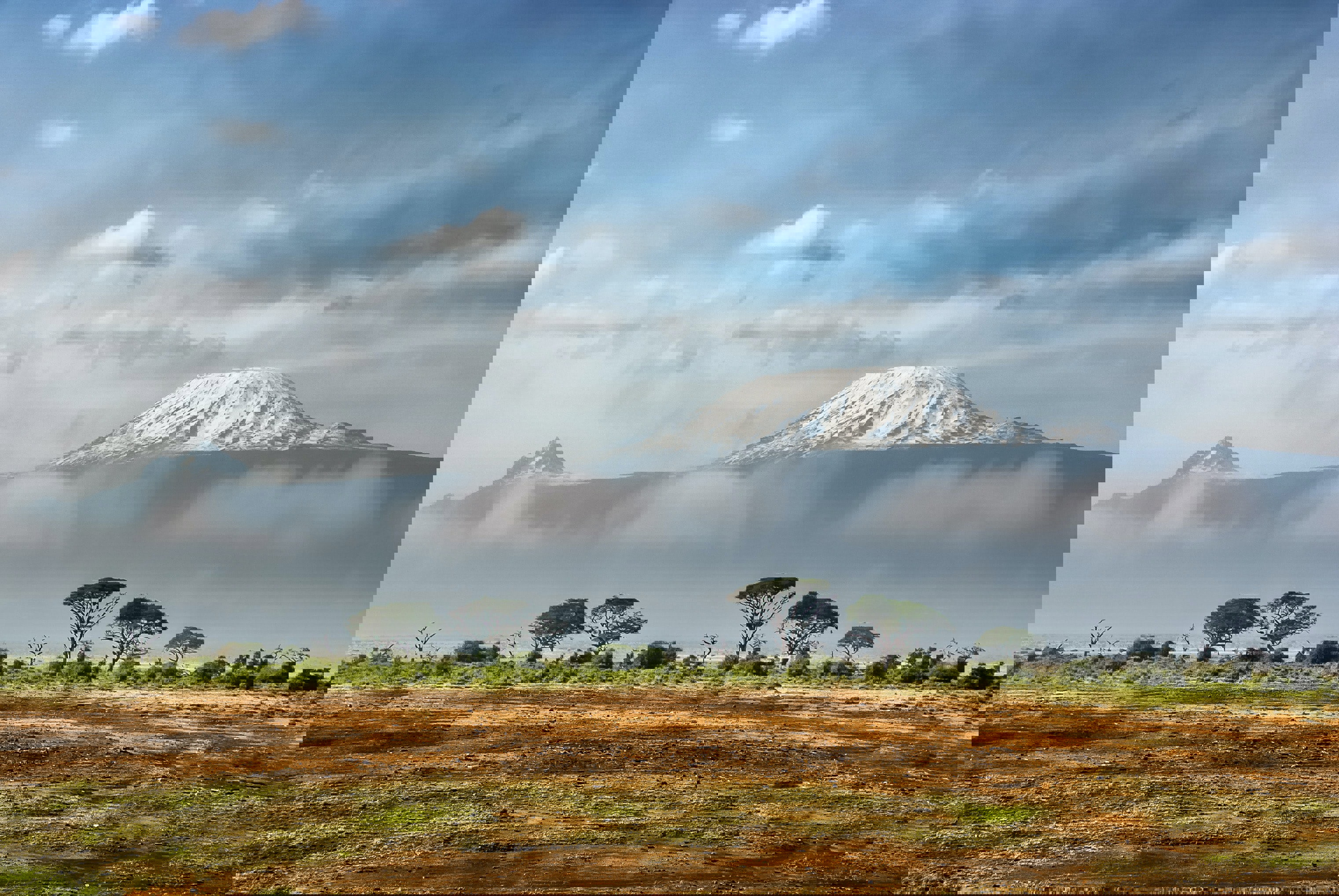 A view of Mt Kilimanjaro 