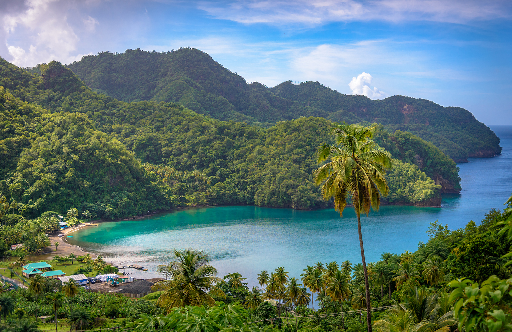 A scenic view of a tropical bay with lush green hills, a clear blue sky, and a single palm tree in the foreground.