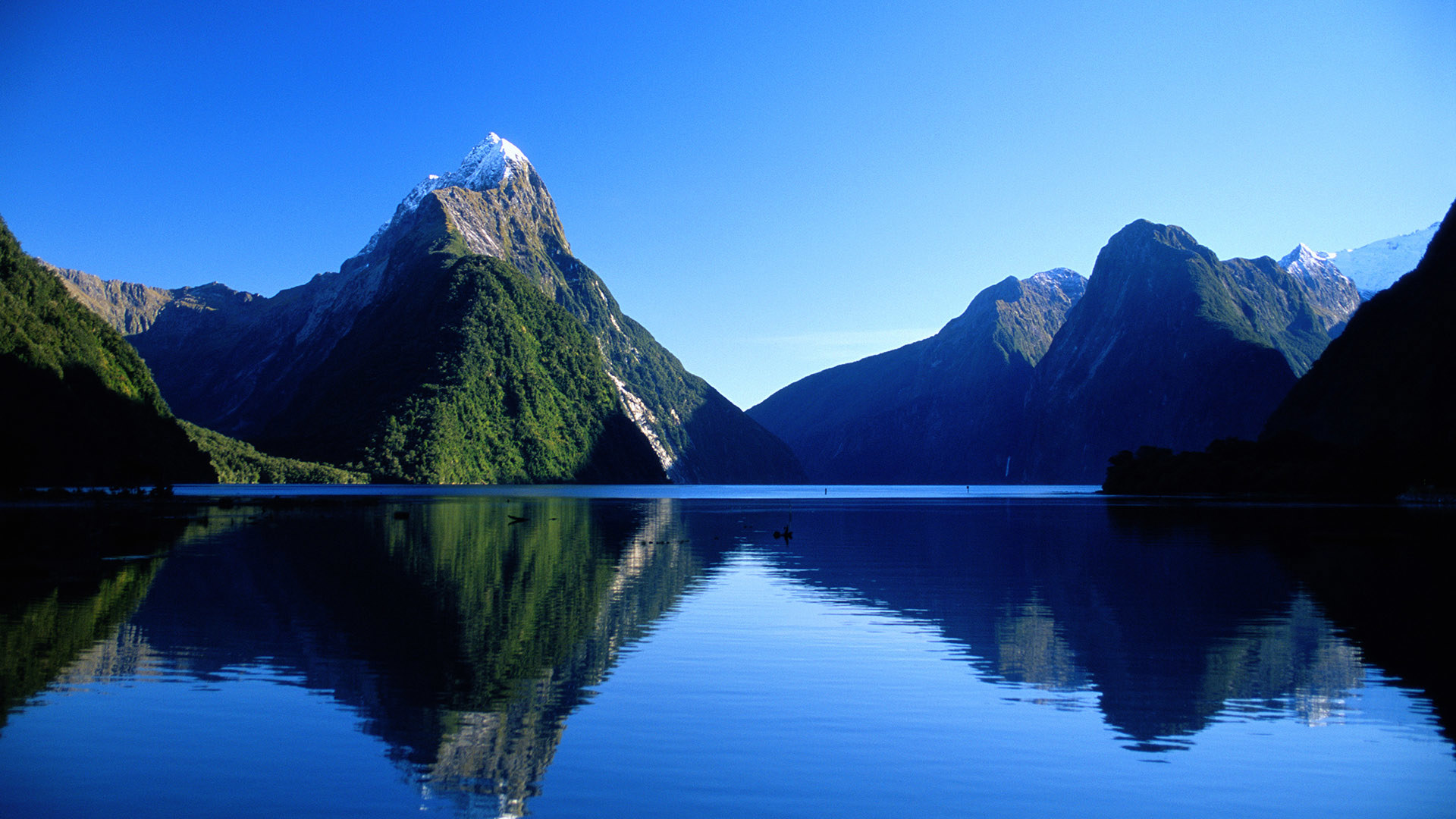 Worldwide, New Zealand, Minaret Station - Luxury Camp, Mitre Peak Fiordland