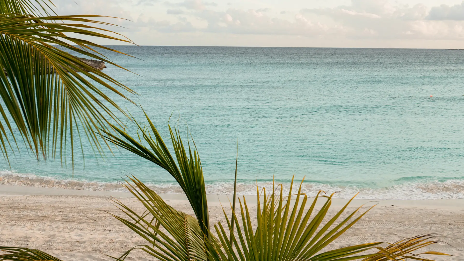 Sandy beach with turquoise water and palm fronds under a partly cloudy sky