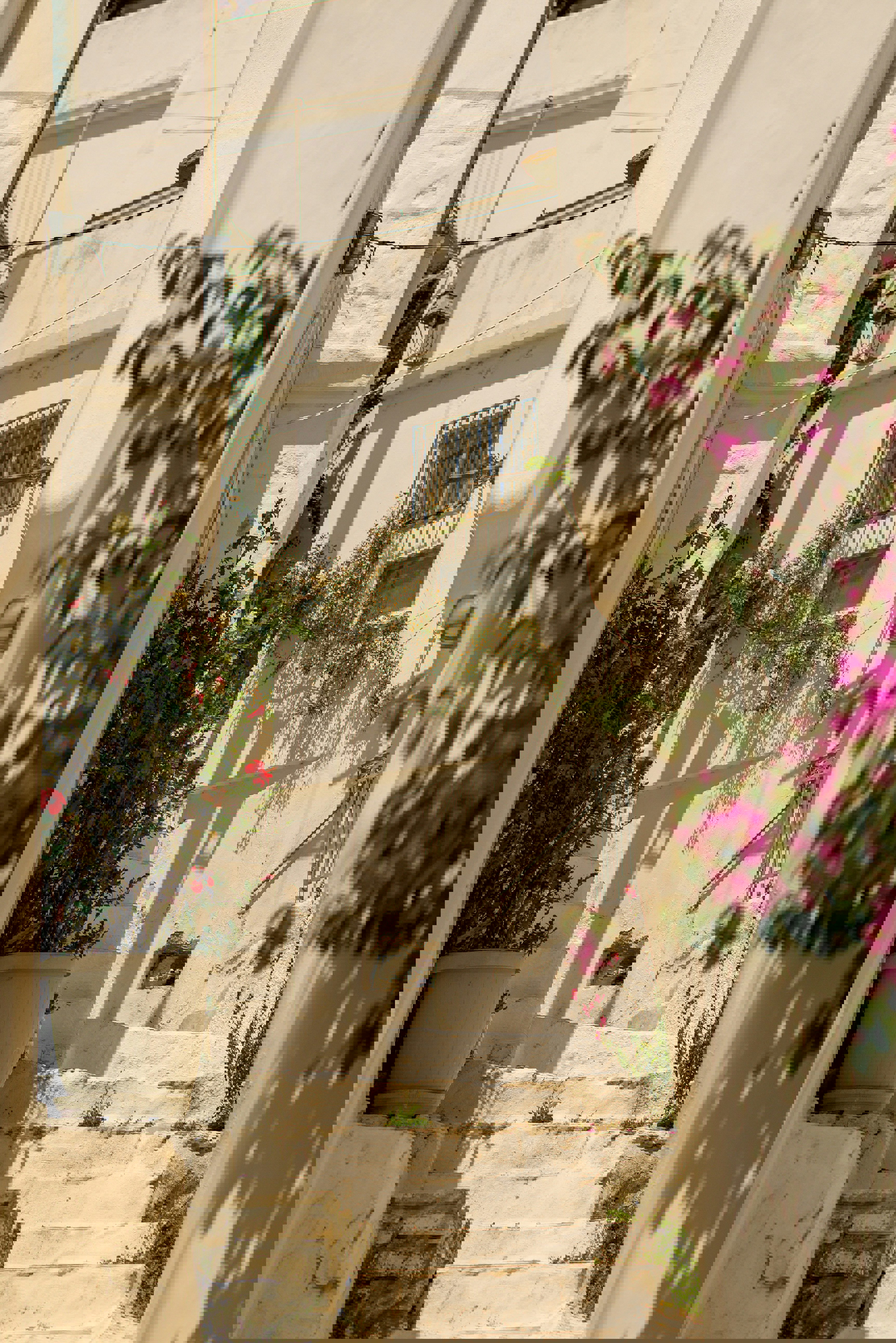 Small alley with potted pink and green plants leading up stairs