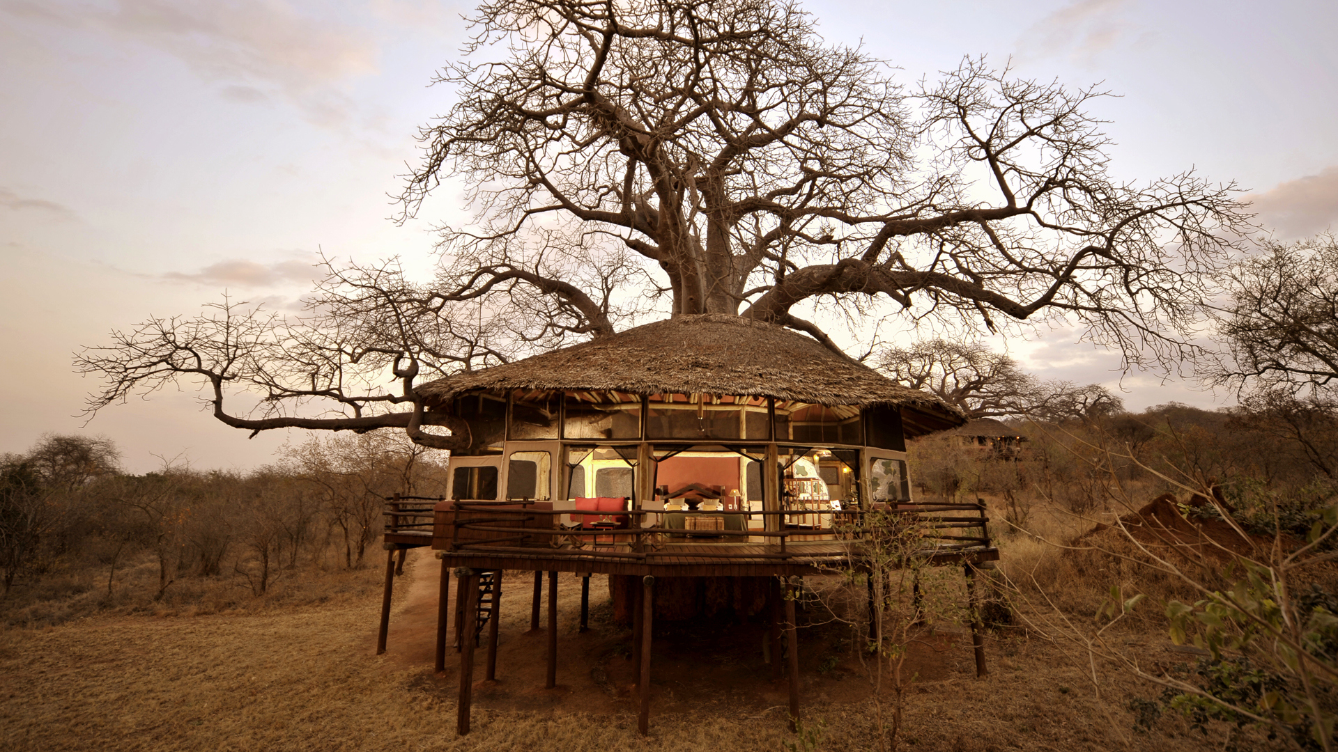  Africa, Tanzania, Tarangire treetops, Tree house