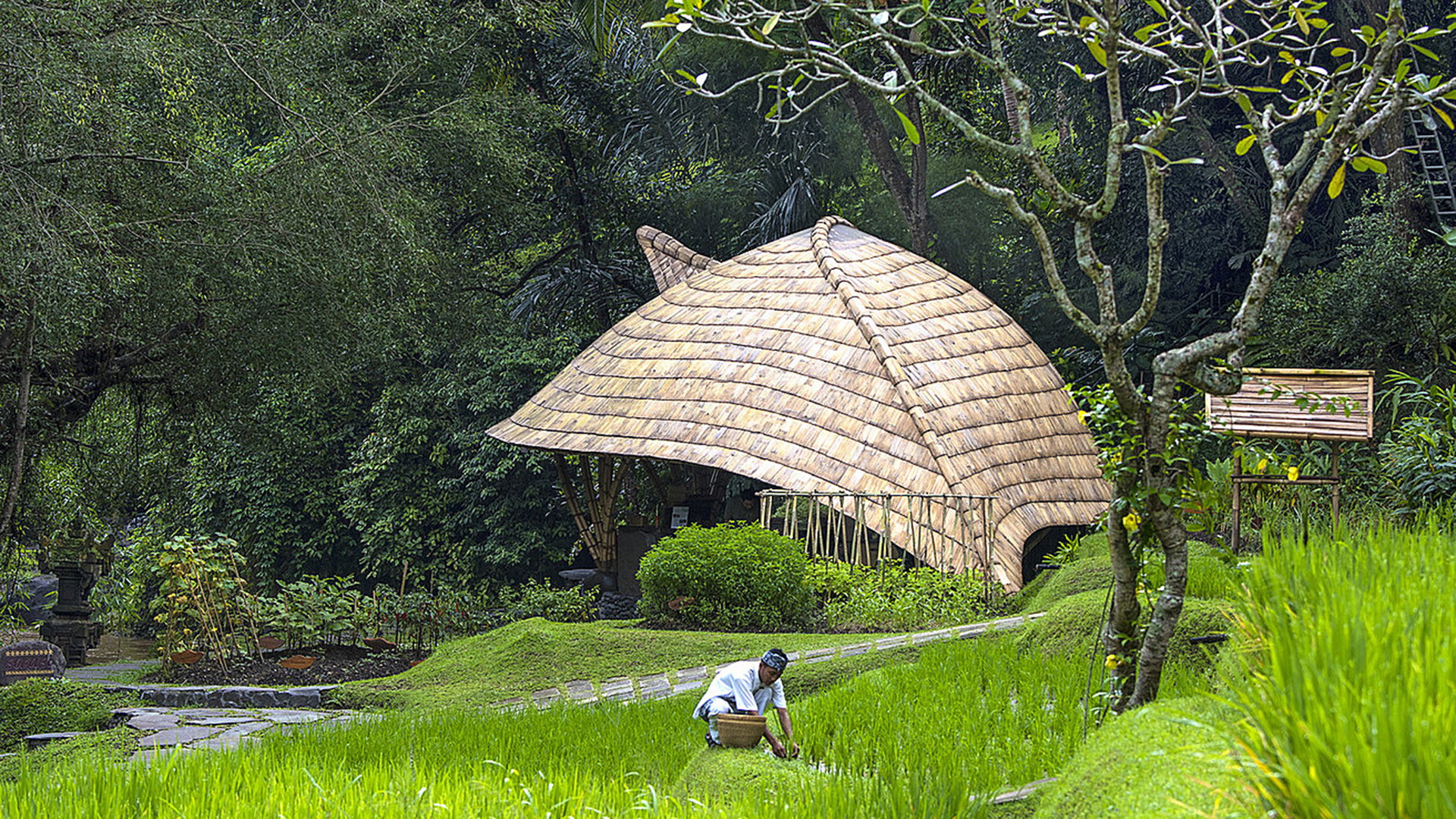  Worldwide, Indonesia, Four Seasons Resort Bali at Sayan, Exterior