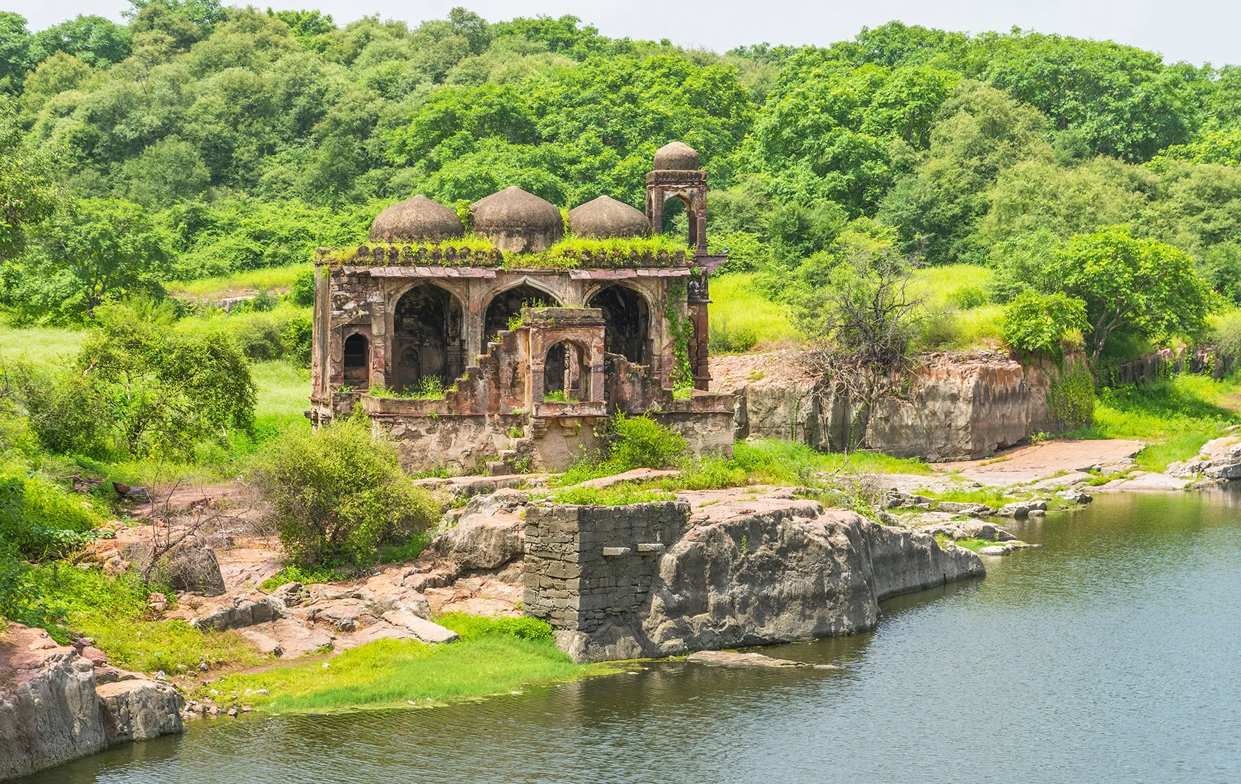 Asia, India, Ruined Mosque in Ranthambore National Park