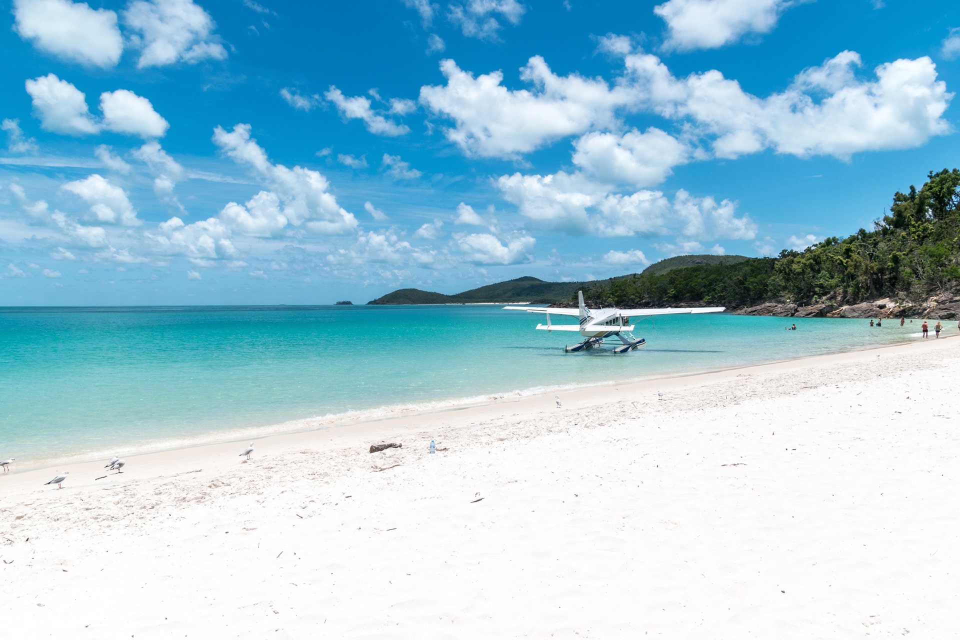 A plane landing in the shallow water at Hamilton Island