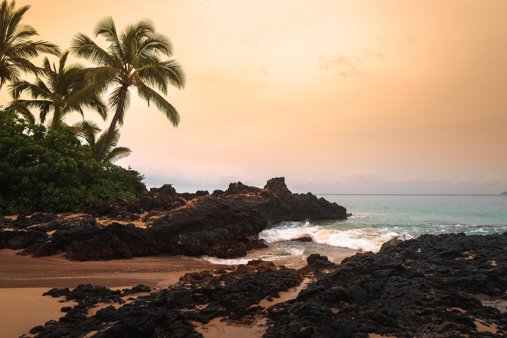 A beach scene featuring tall palm trees, surrounded by scattered rocks along the shore.