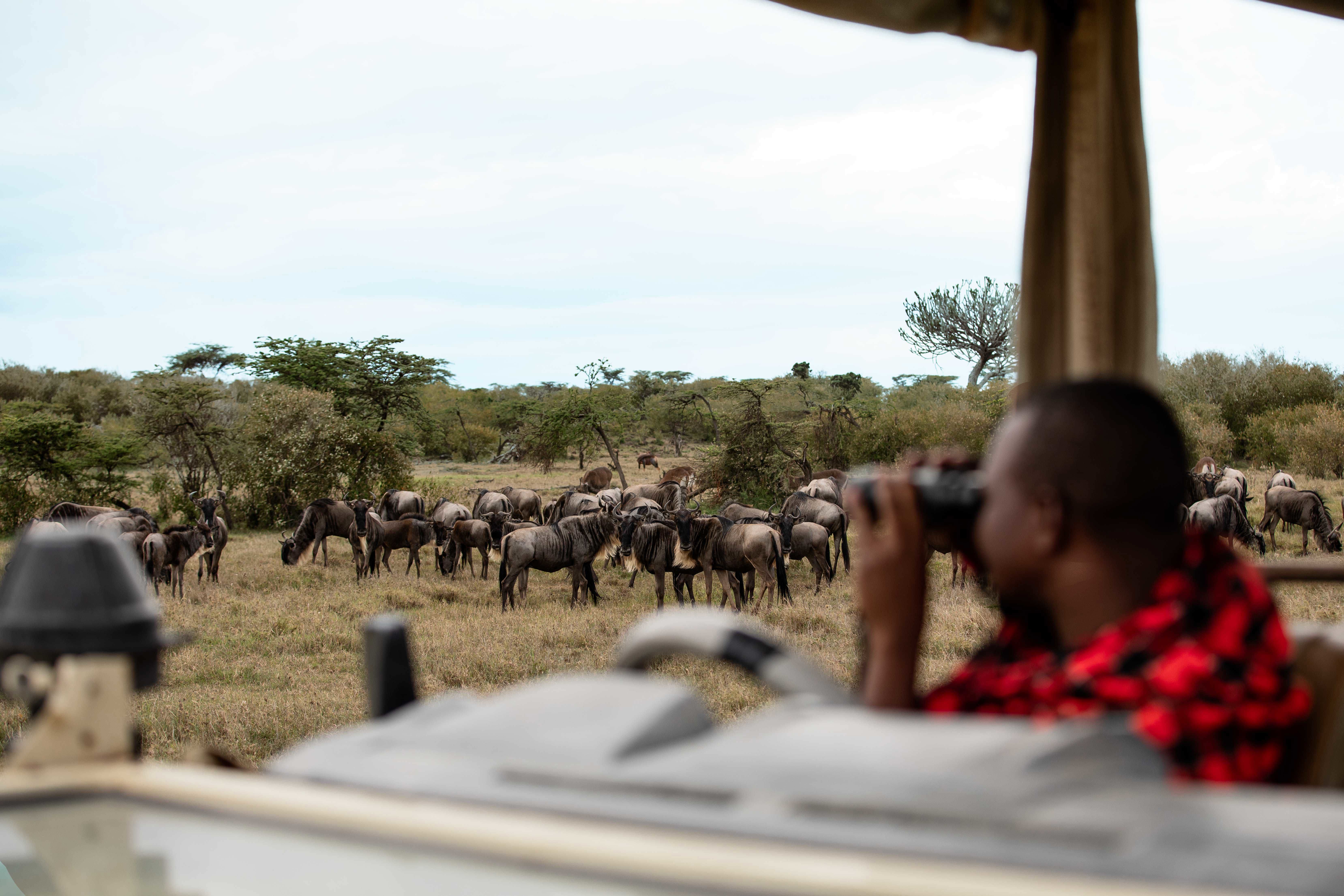  Africa, Luxury Kenya Holidays, Mahali Mzuri, Safari viewing