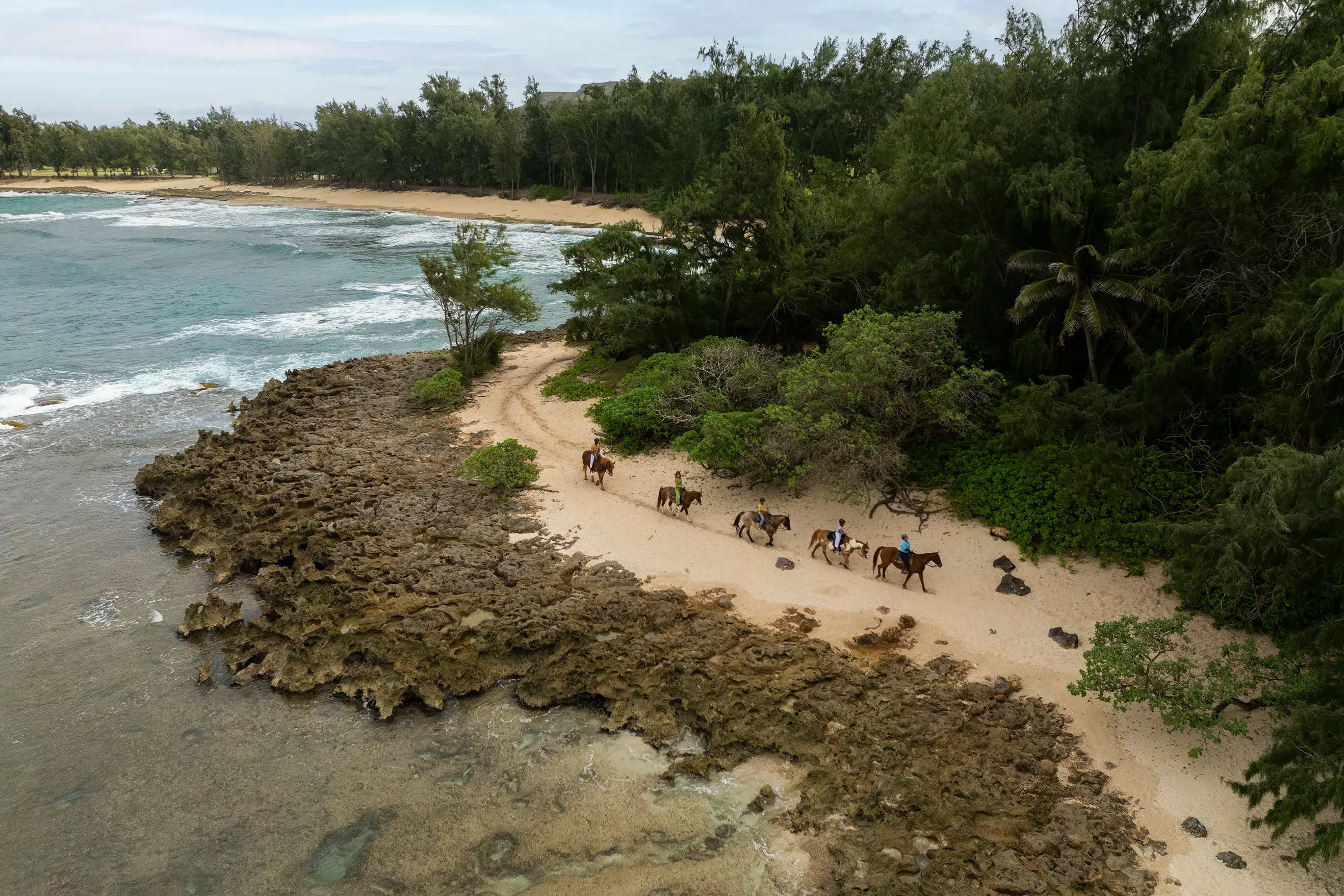 A group of people riding horses down a sandy path at the edge of the sea with jungle behind