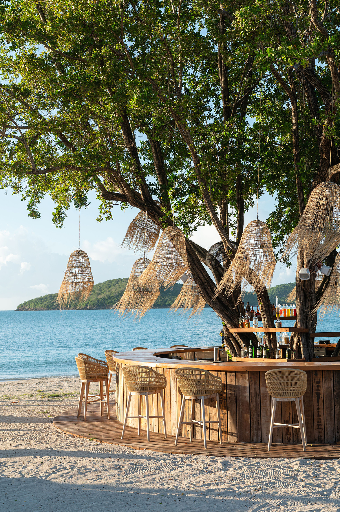Caribbean & Mexico, Antigua, Hermitage Bay, tree bar on the beach