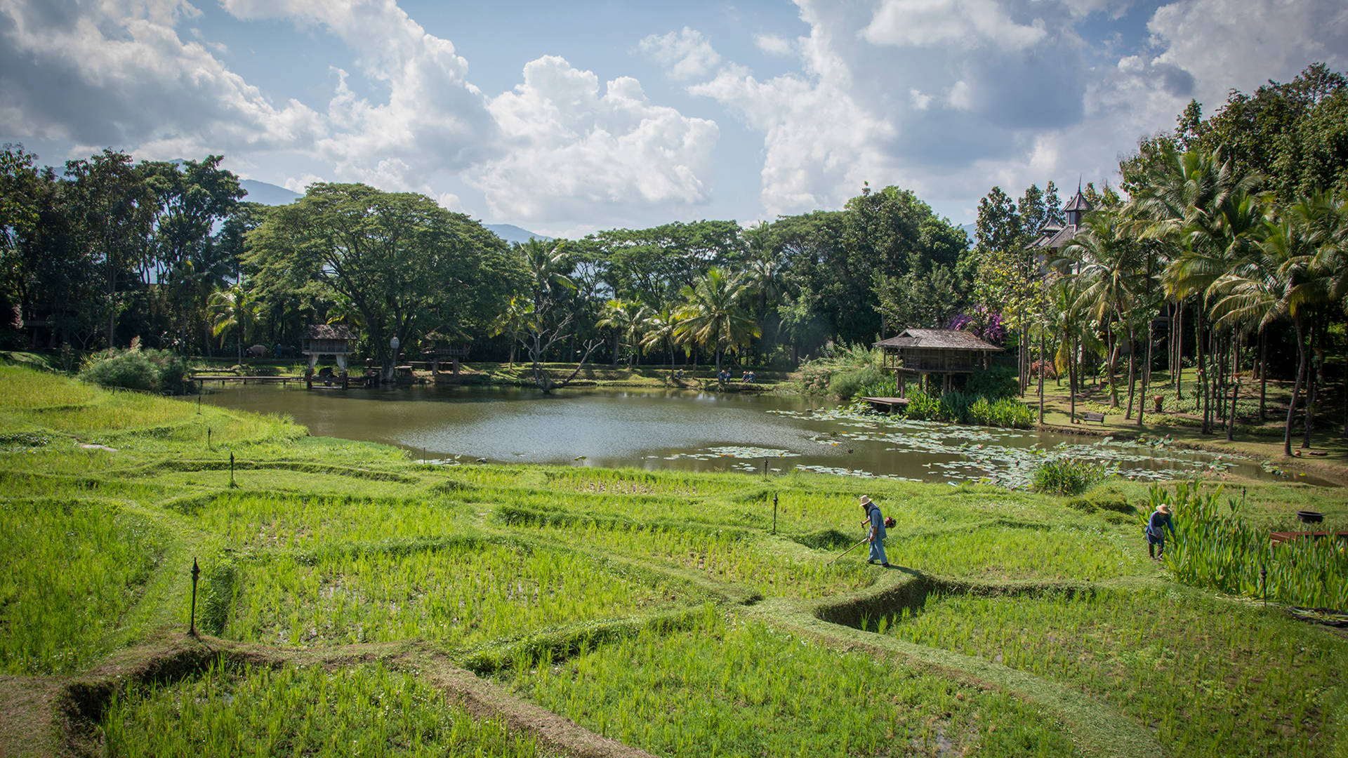 Four Seasons Resort Chiang Mai