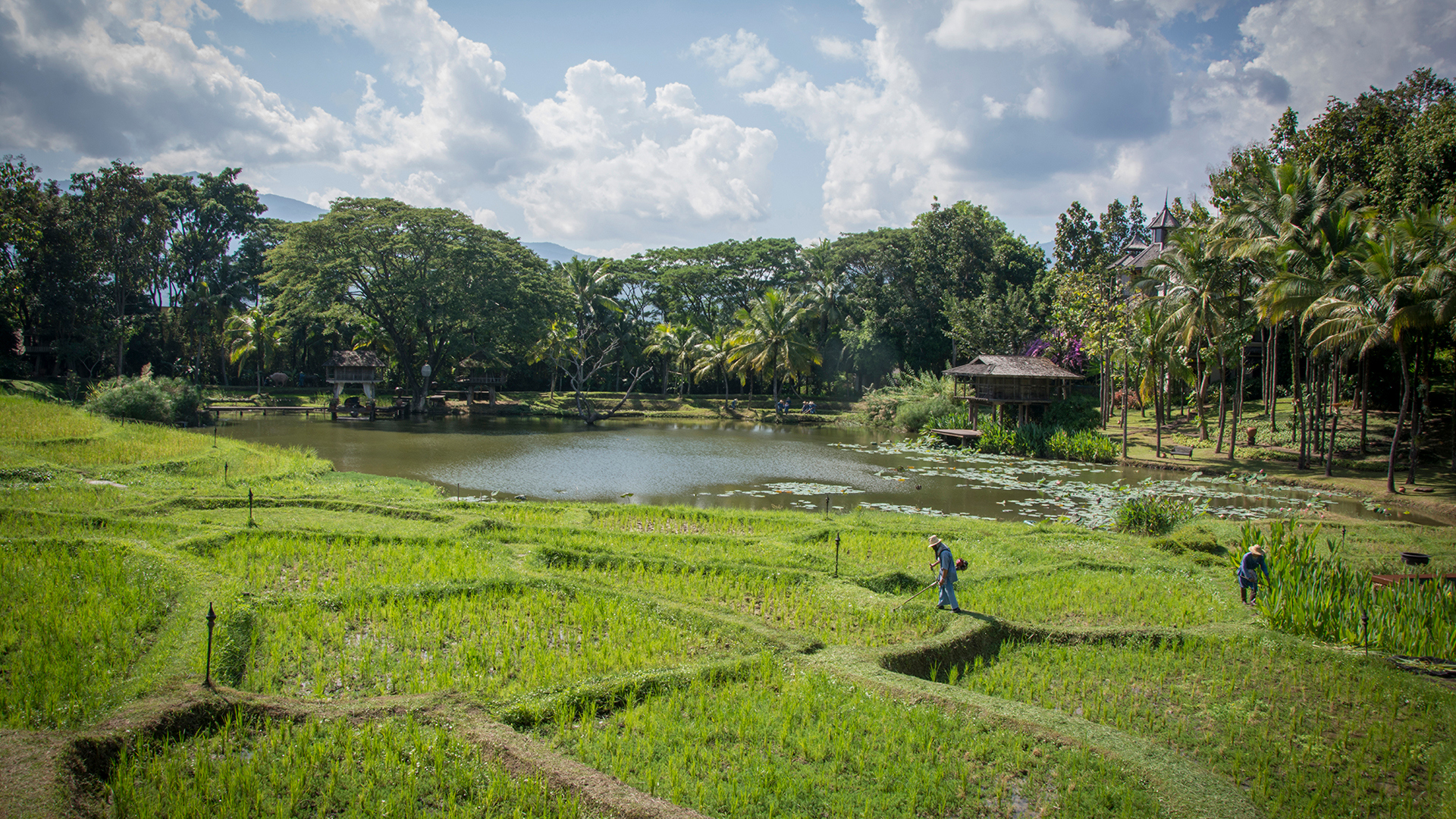 India, Far East & Australasia, Thailand, Four Seasons Resort Chiang Mai, View