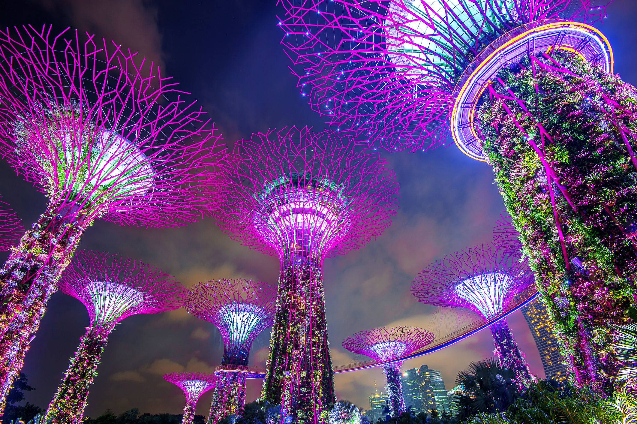 Asia, Singapore, Supertrees