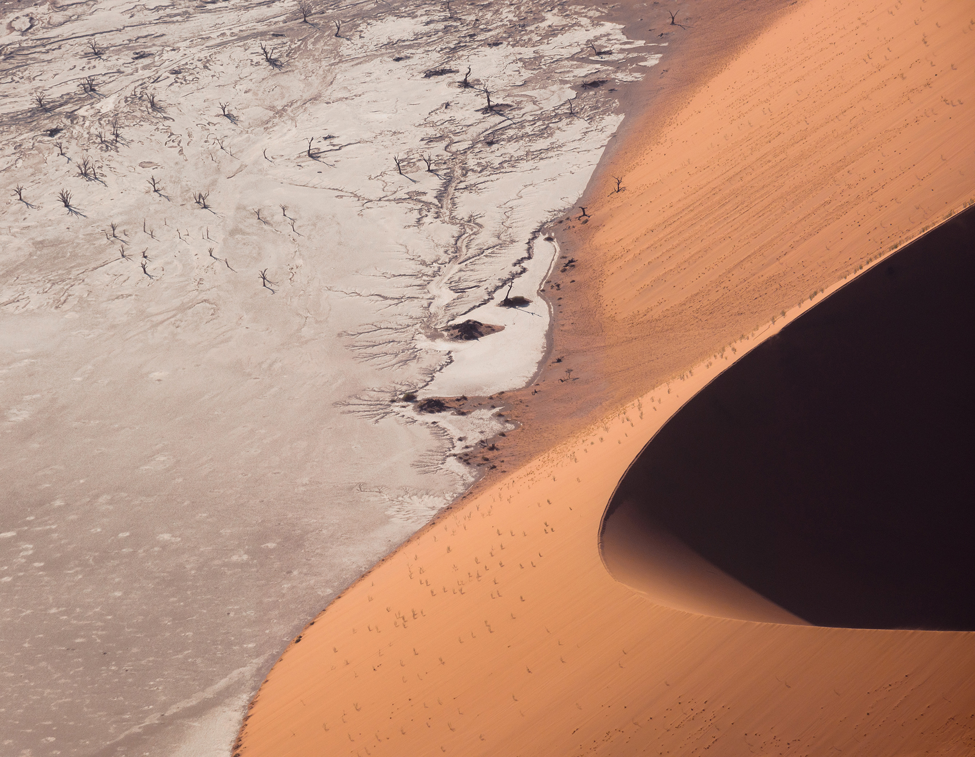 An orange sandy dune next to grey sandy flat desert