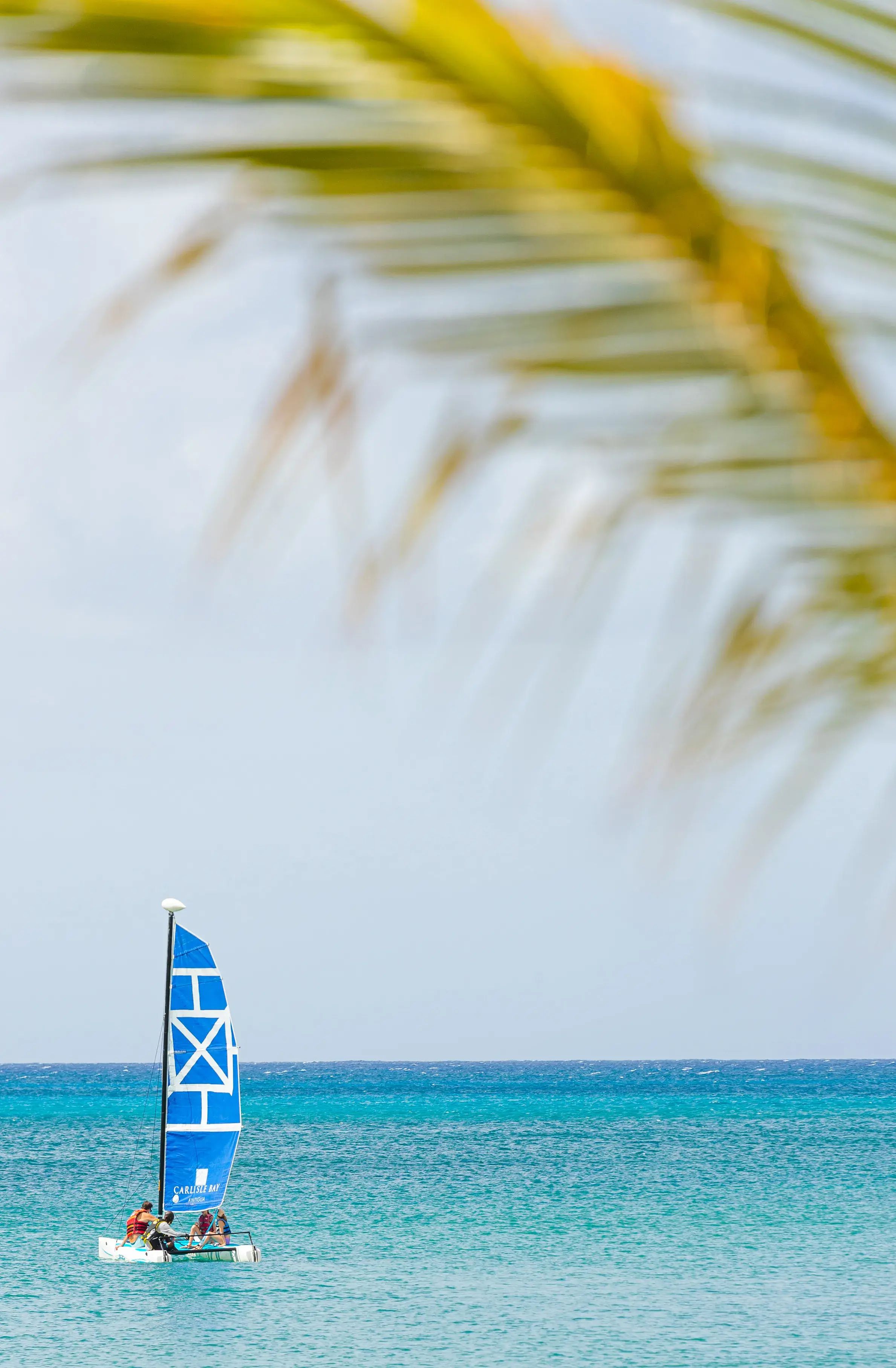 Four sailors on a lesson aboard a catamaran on the sea