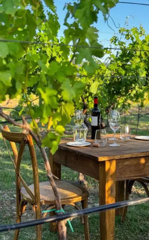 A small wooden dining table set within a vineyard with a bottle of wine and glasses on it