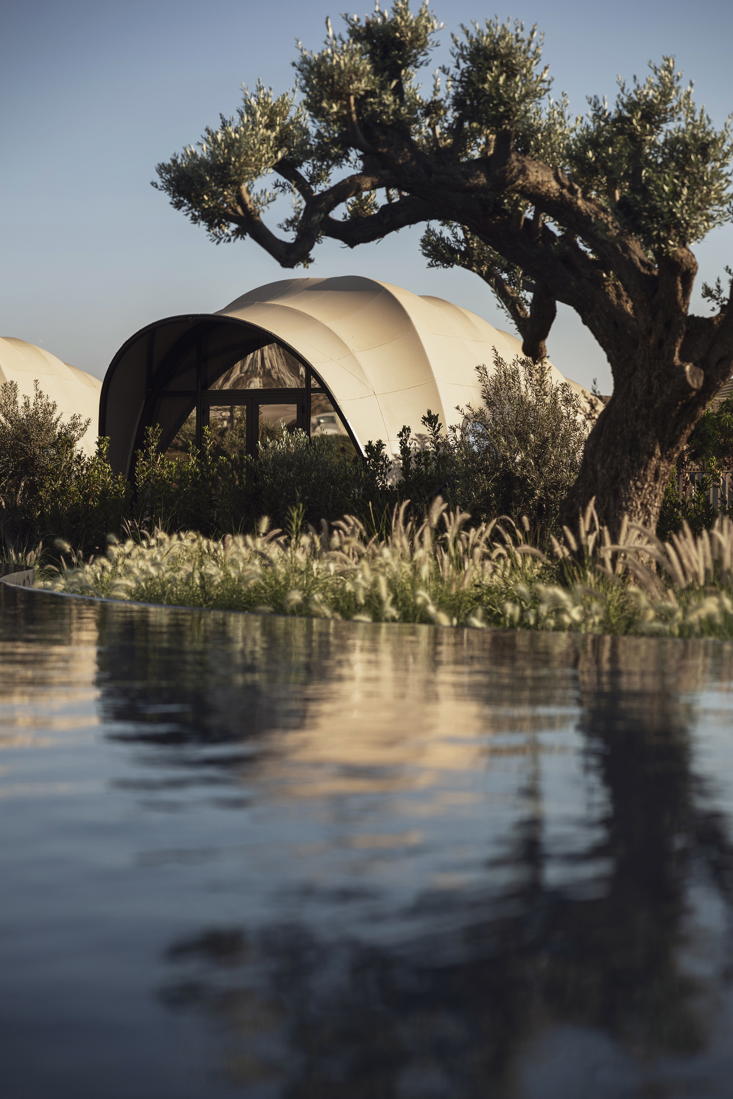 Domed cabana with glass front below an established olive tree reflected in the lake in front