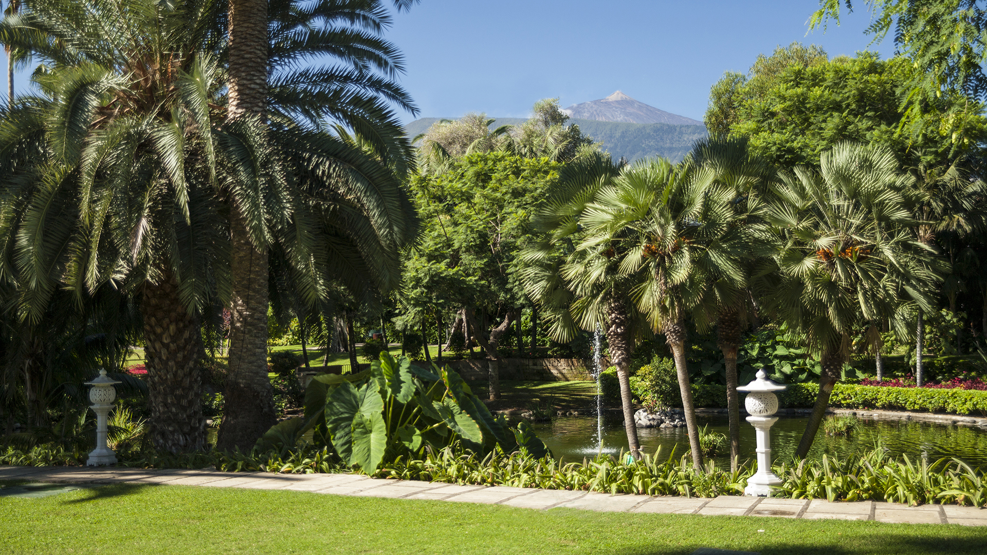 Europe, Spain, Tenerife, Hotel Botanico, Gardens Tiede View