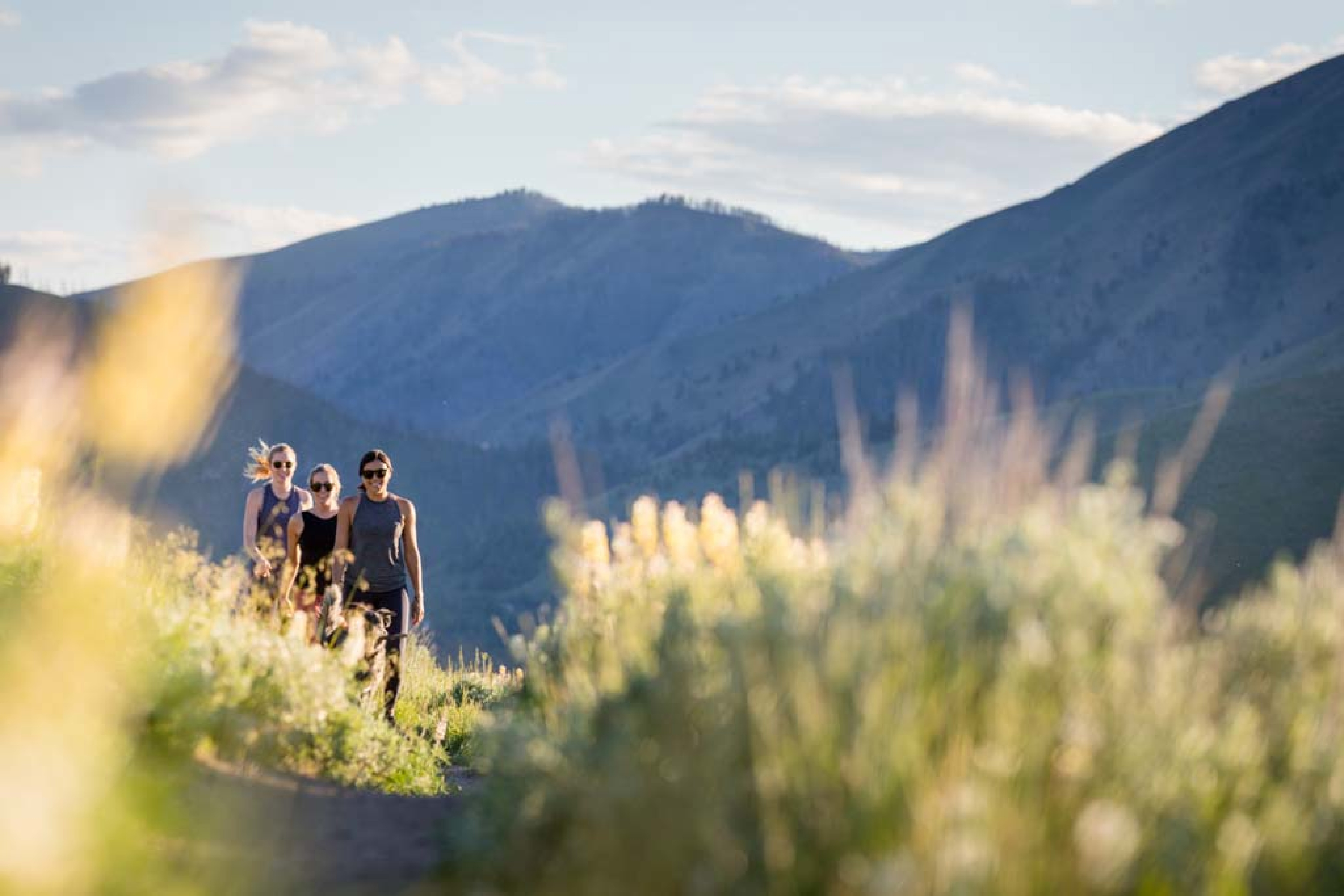 Three people walking on a trail surrounded by lush greenery with mountains in the background at Sun Valley Lodge
