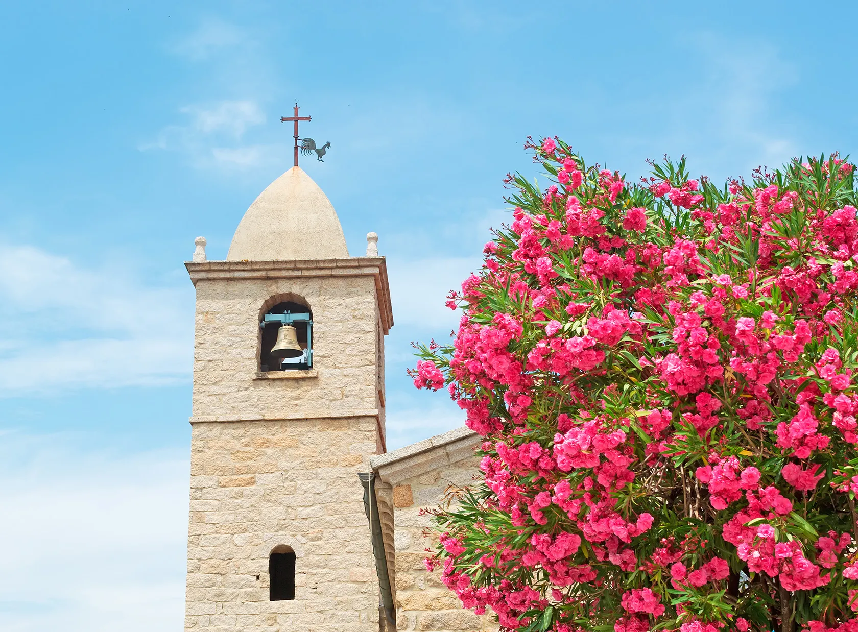 San Pantaleo bell tower behind an oleander tree in Sardinia, Italy