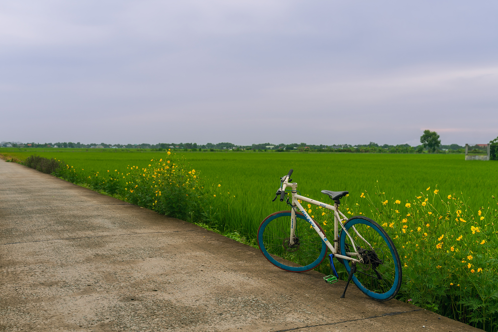 A white bicycle parked up on a concrete road next to green fields
