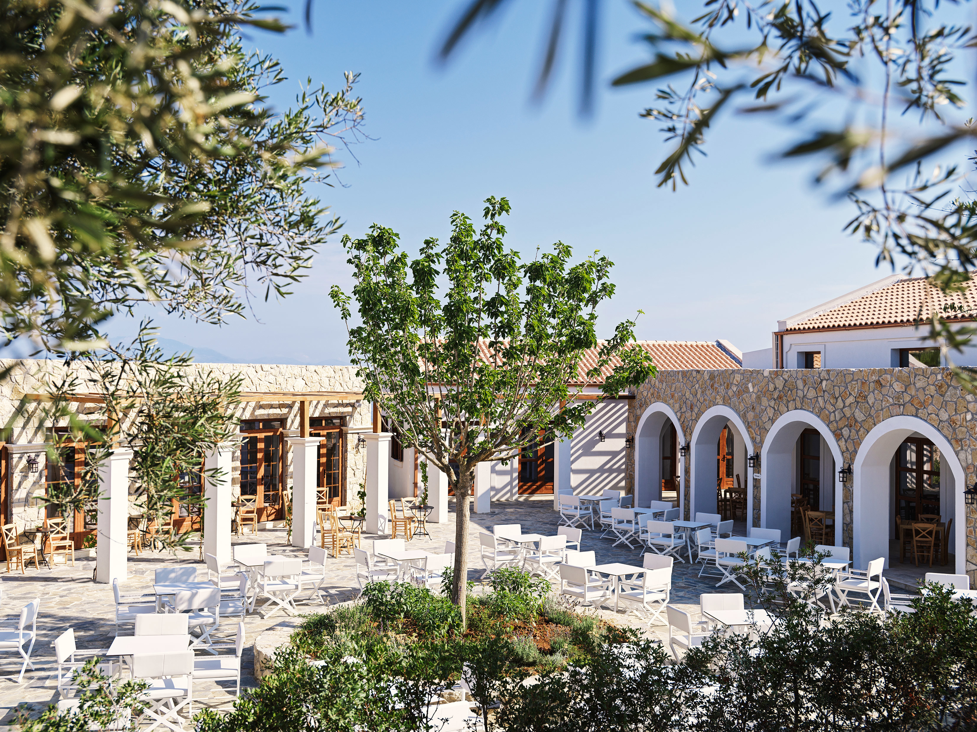 Central olive tree and white tables and chairs in the centre of Plateia at Lesante Cape