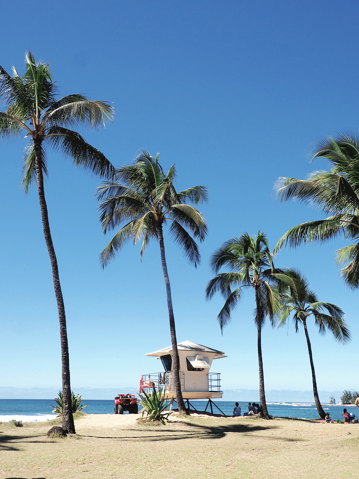Lifeguard hut and palm trees on the beach in Hawaii