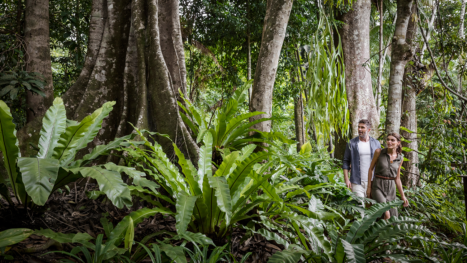 Worldwide, Malaysia, The Datai Langkawi, People in rainforest