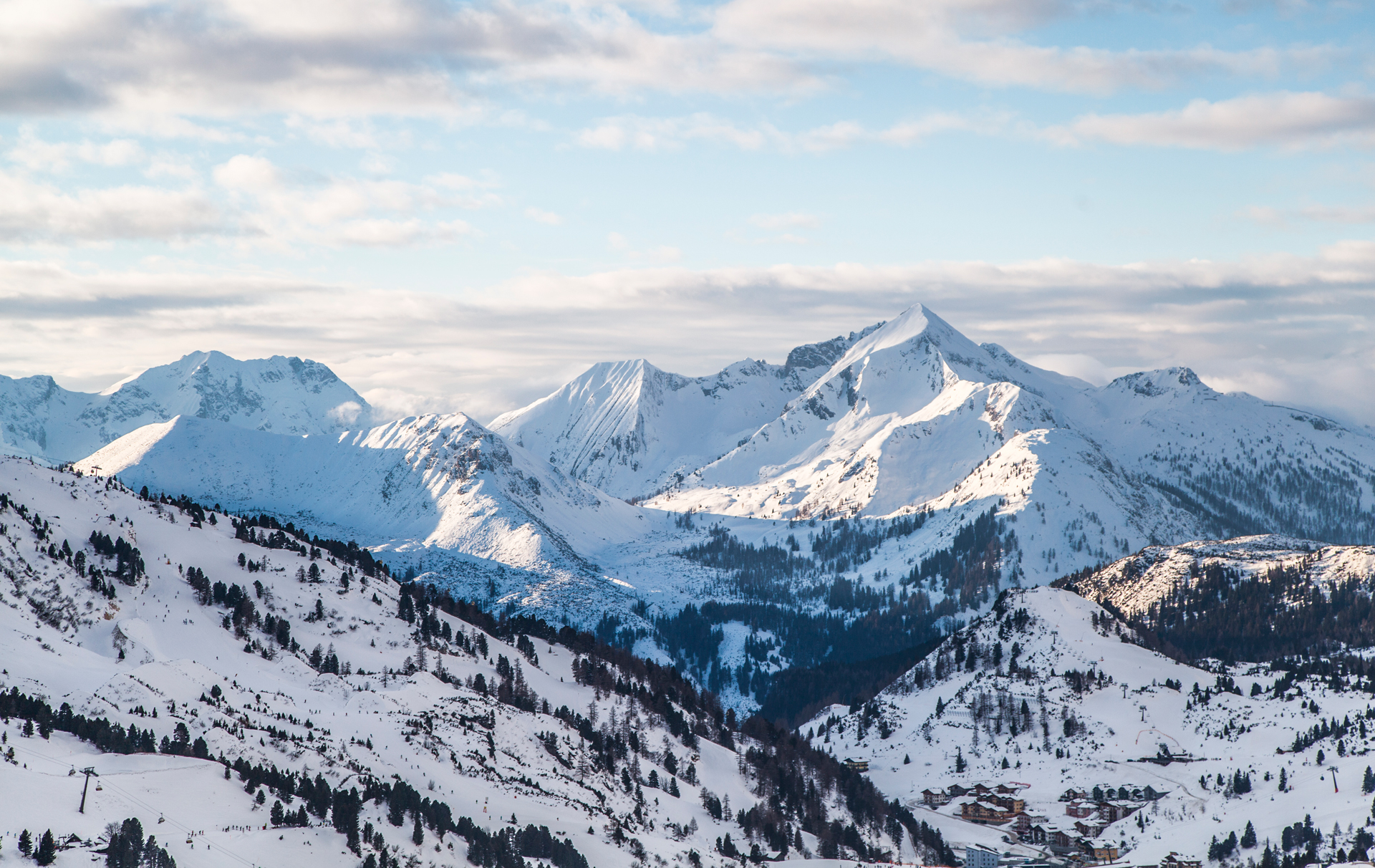 Snowy mountains covered in trees