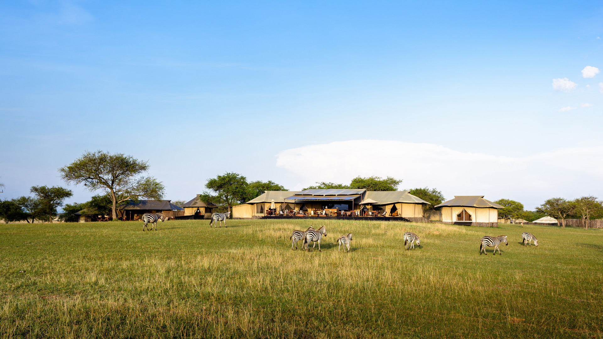  Africa, Tanzania, Singita Sabora, Exterior & Wildlife