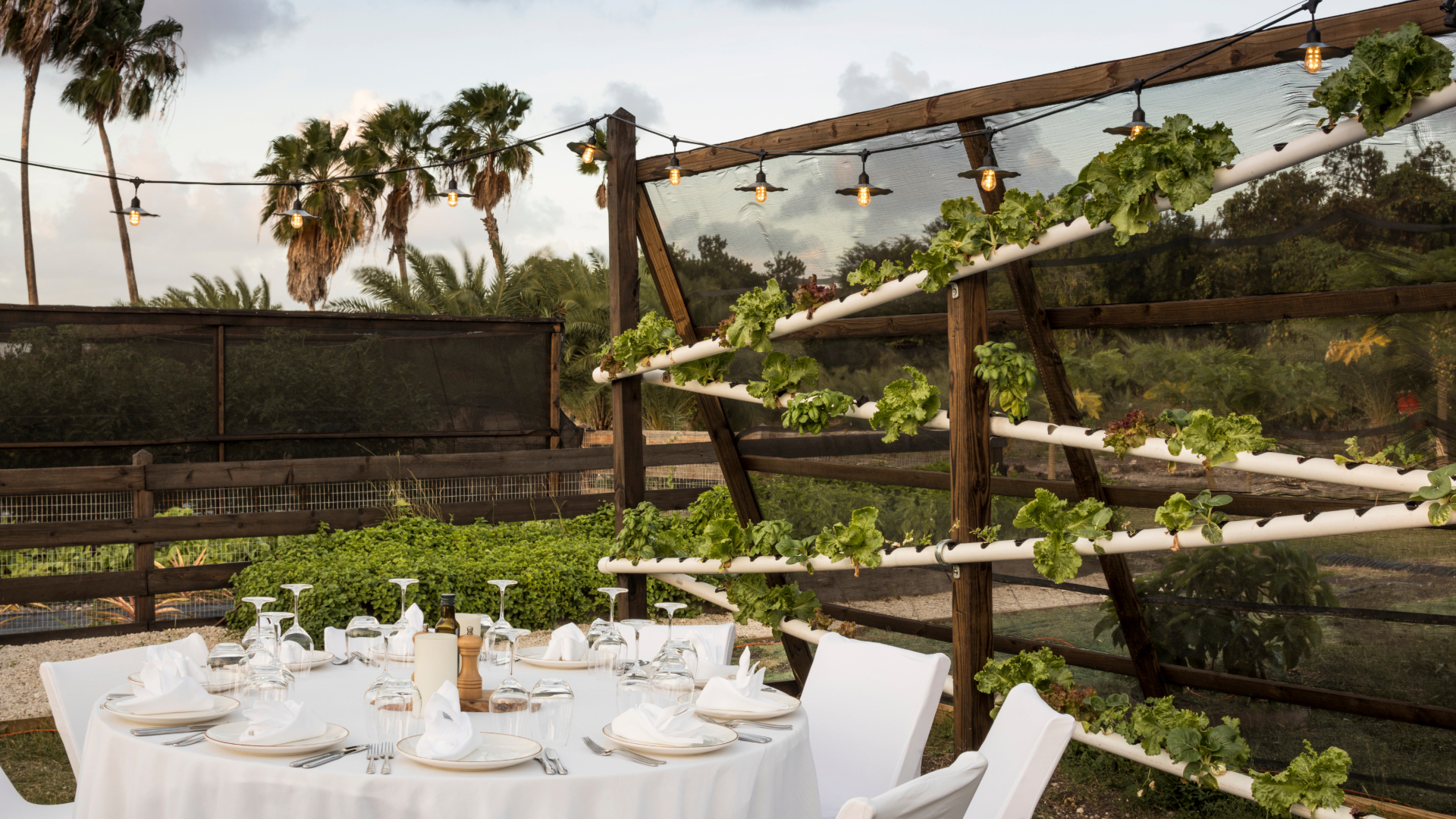 Jumby Bay Island Farm To Table Dinner