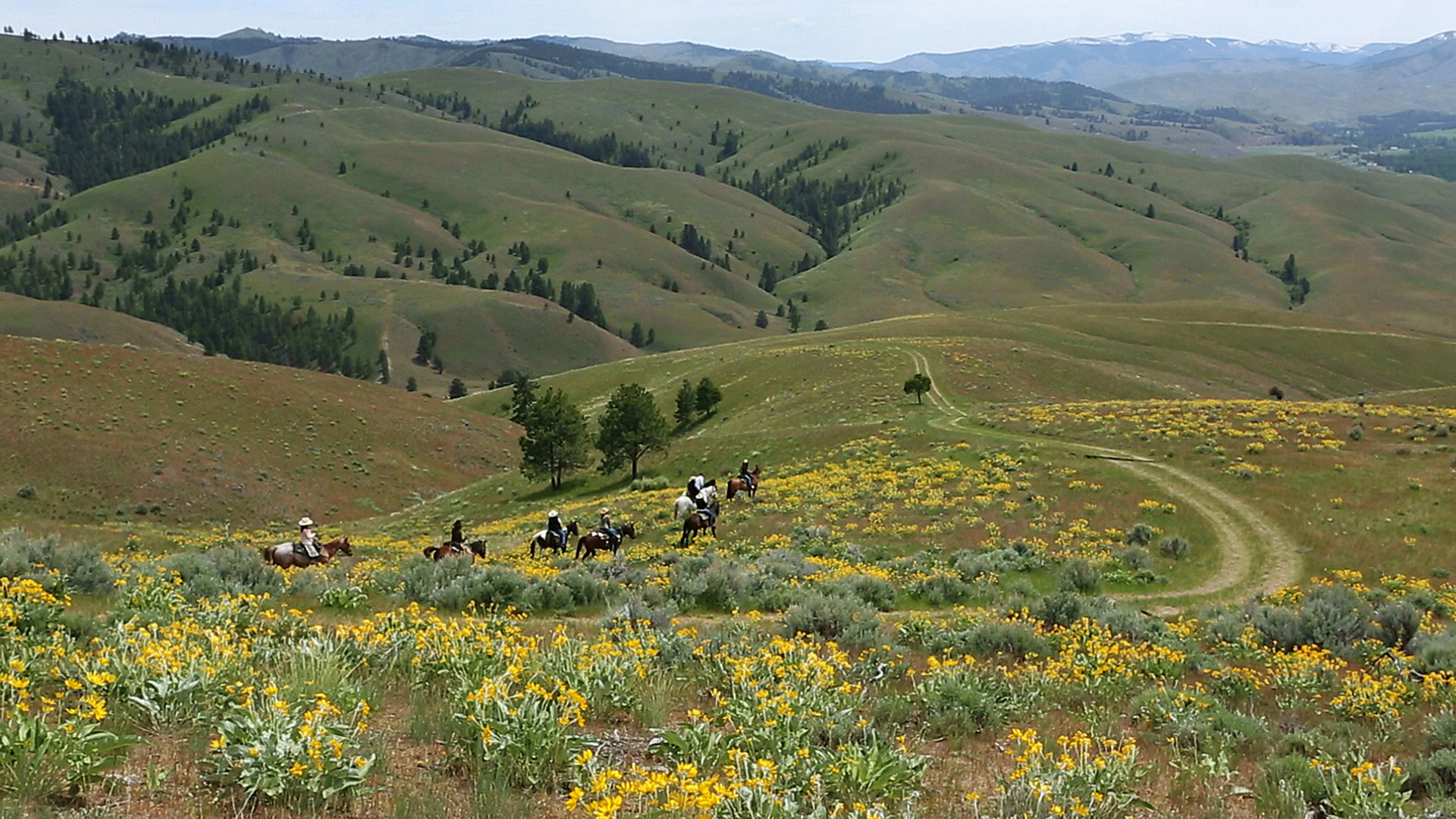  North America, Montana, Triple Creek Ranch, horse riding wide shot