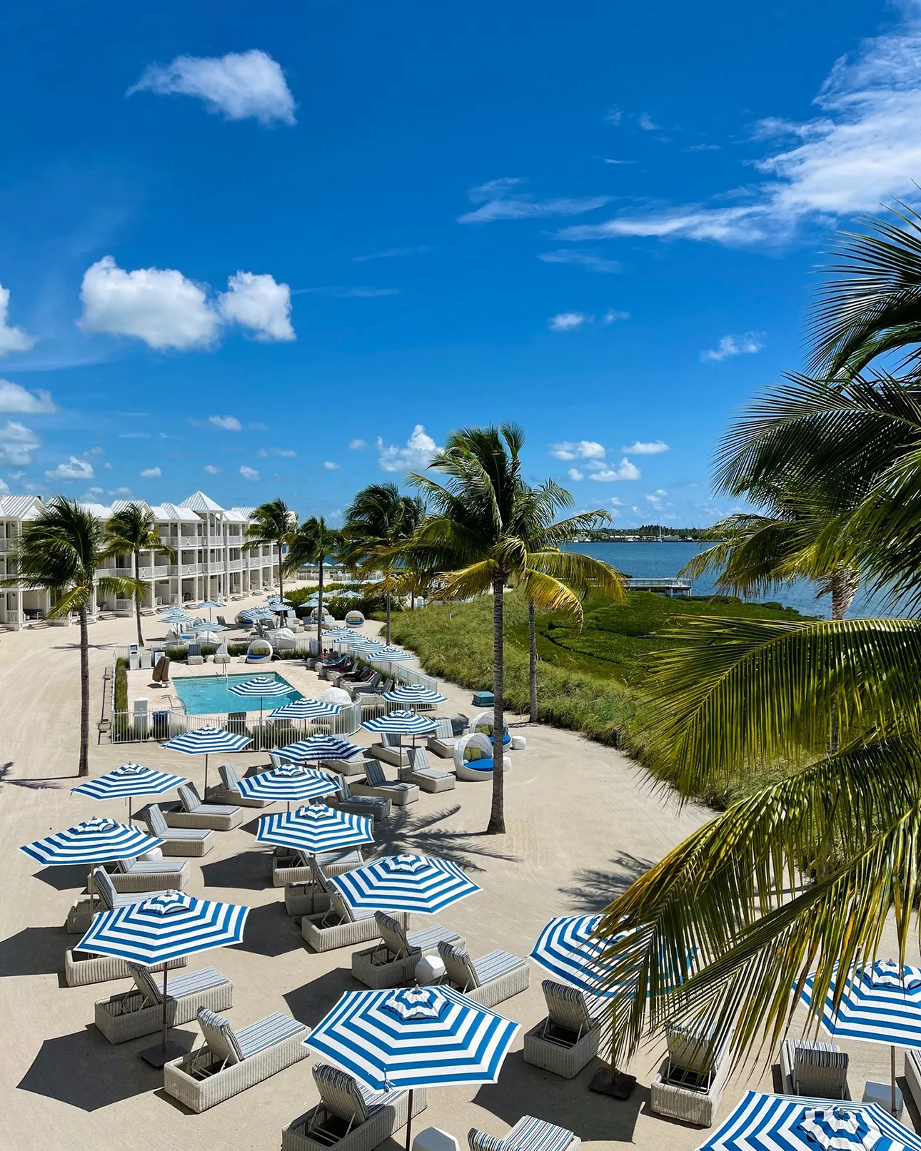 North America, USA, Florida, Isla Bella Beach Resort, a view from above of sunloungers shaded by parasols and palm trees, with the pool and sea in the background