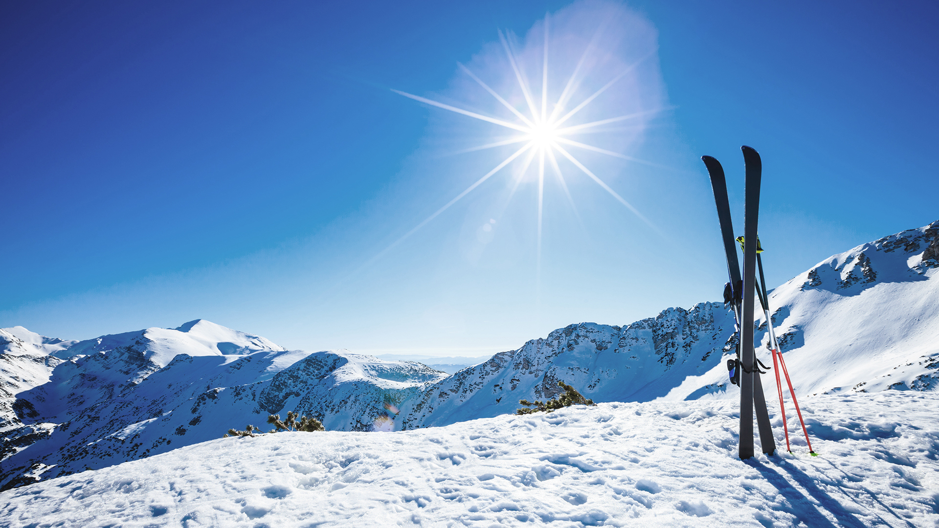 Luxury Ski & Snow, Skis sticking out of the snow