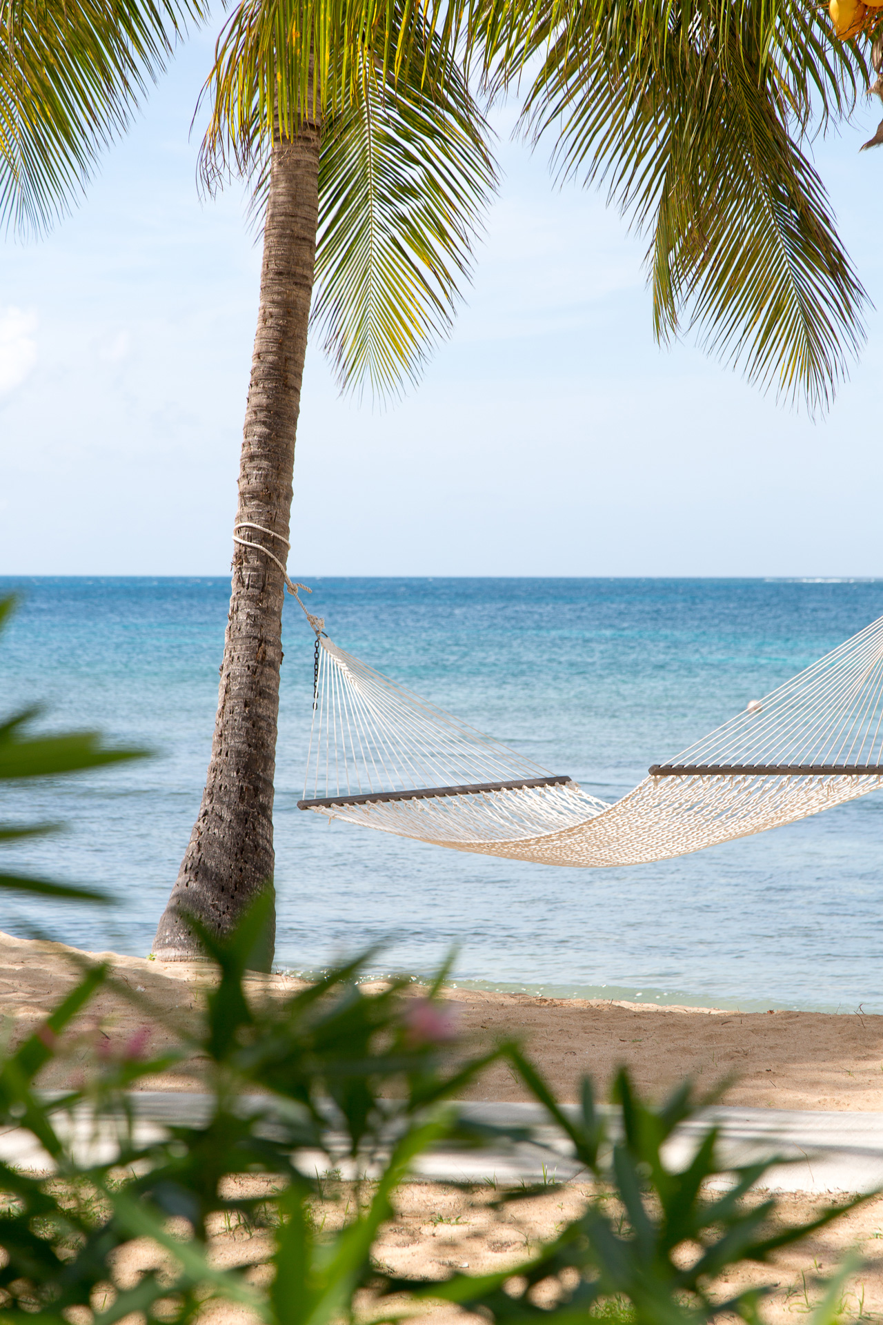 A hammock on the beach attached to a palm tree
