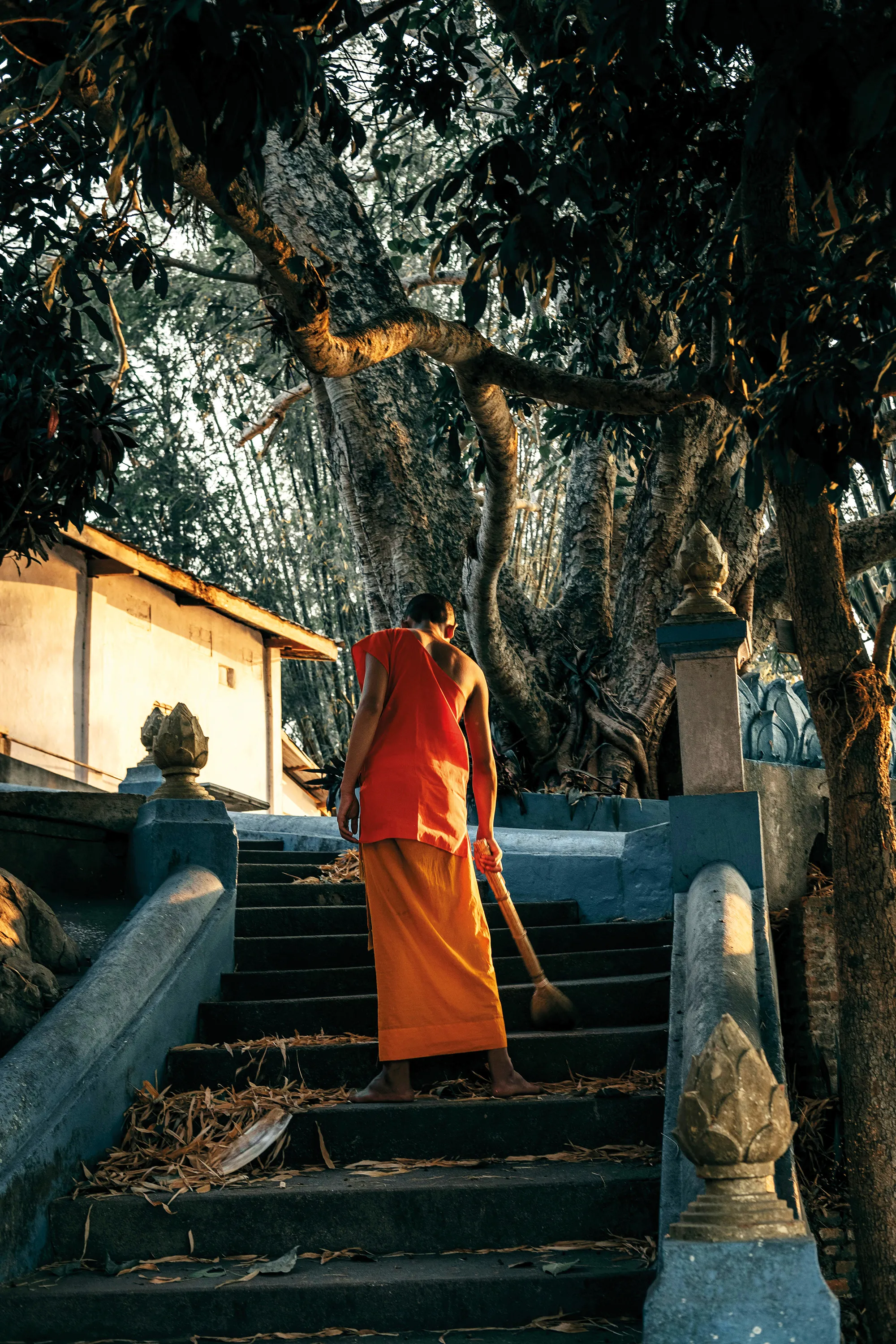 Monk in traditional orange and red robe walking up stone steps under large tree at a temple.