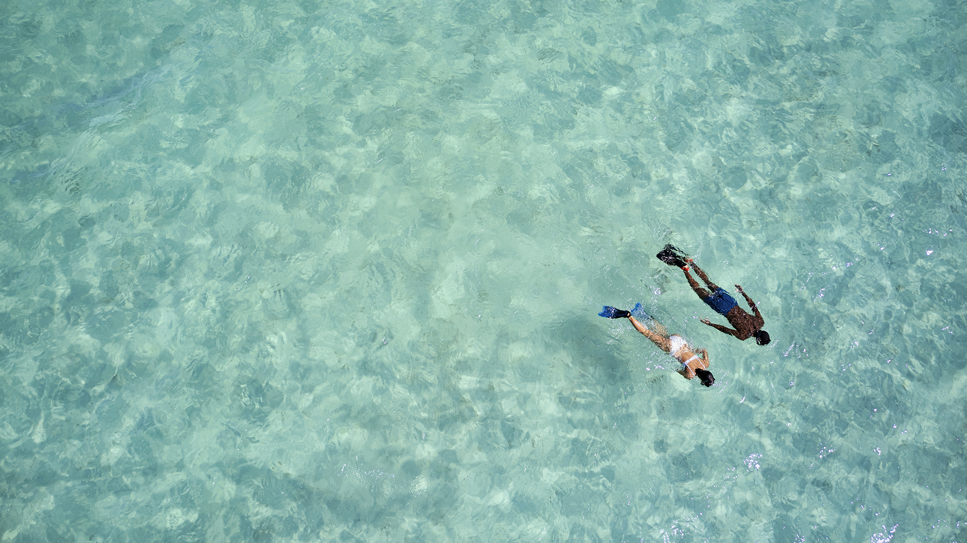 Caribbean, Turks & caicos, Parrot cay, Snorkeling