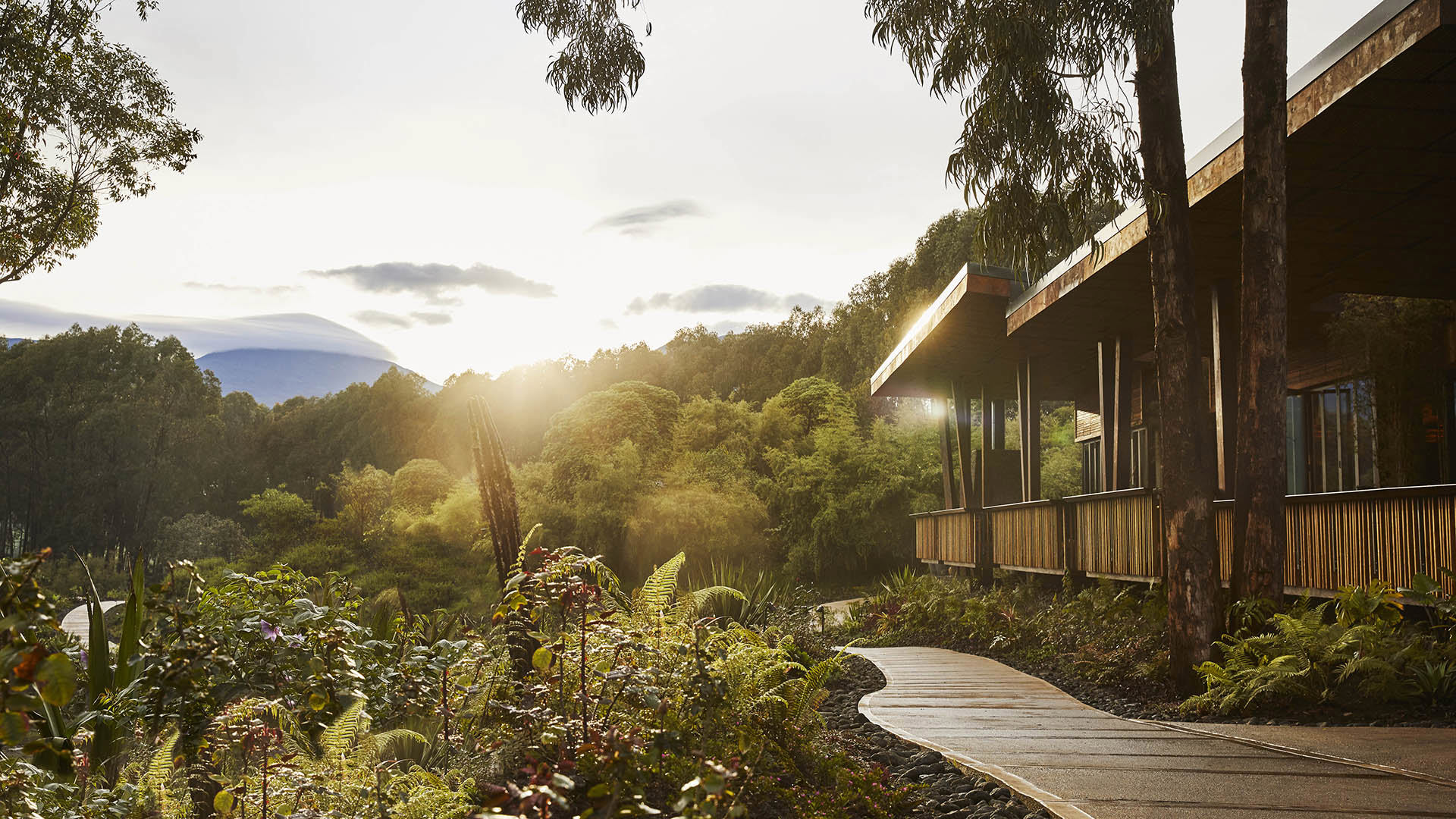  Africa, Rwanda, One&Only Gorilla's Nest, Pathway