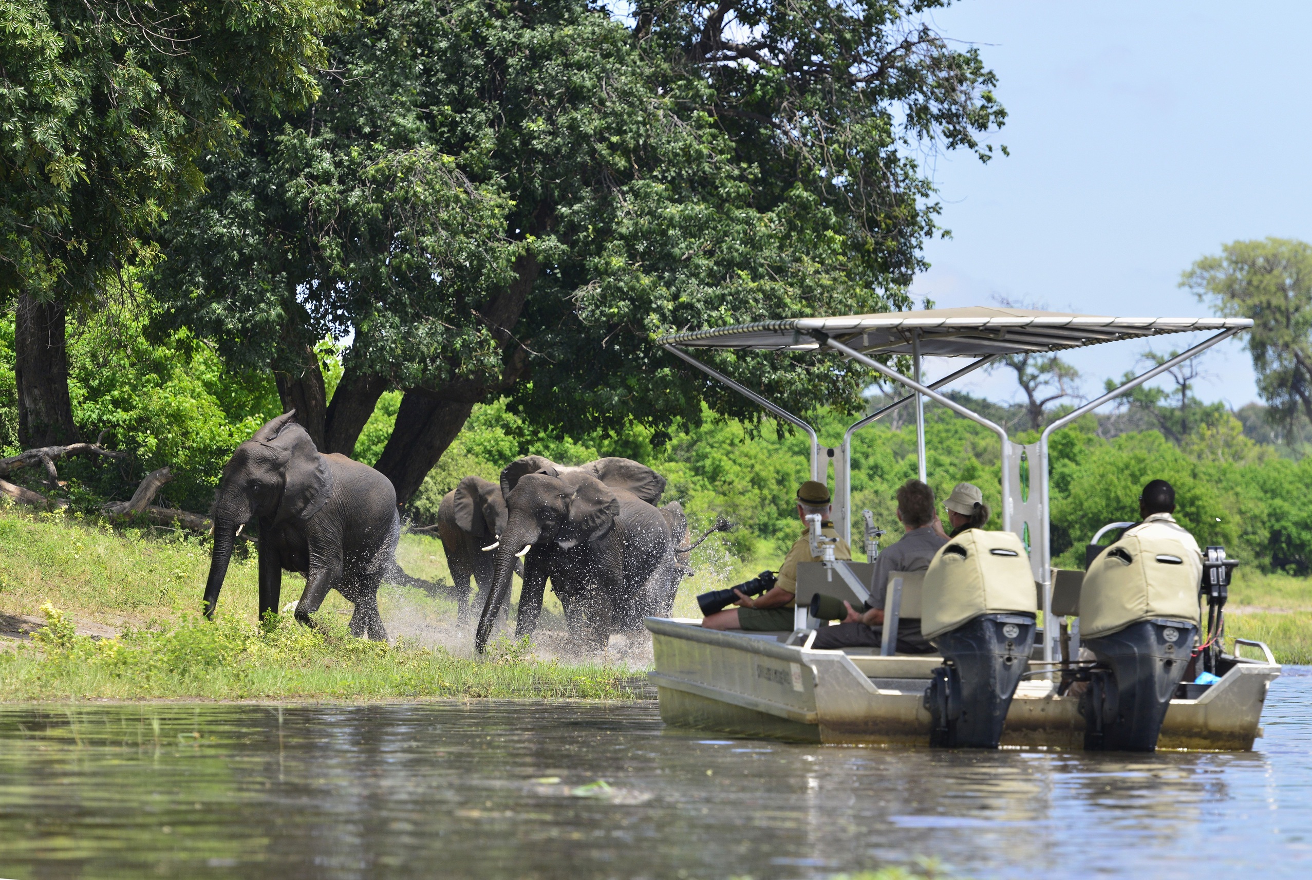 River safari boat approaching elephants on the Chobe River