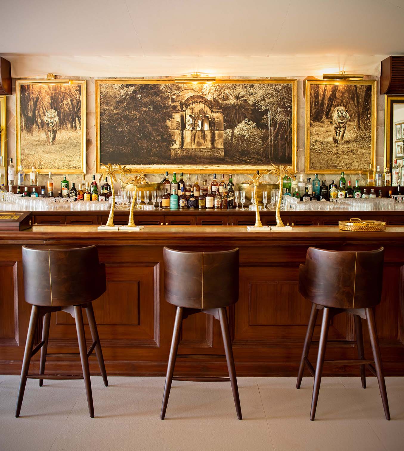 Asia, India, SUJAN Sher Bagh, bar with three bar stools 