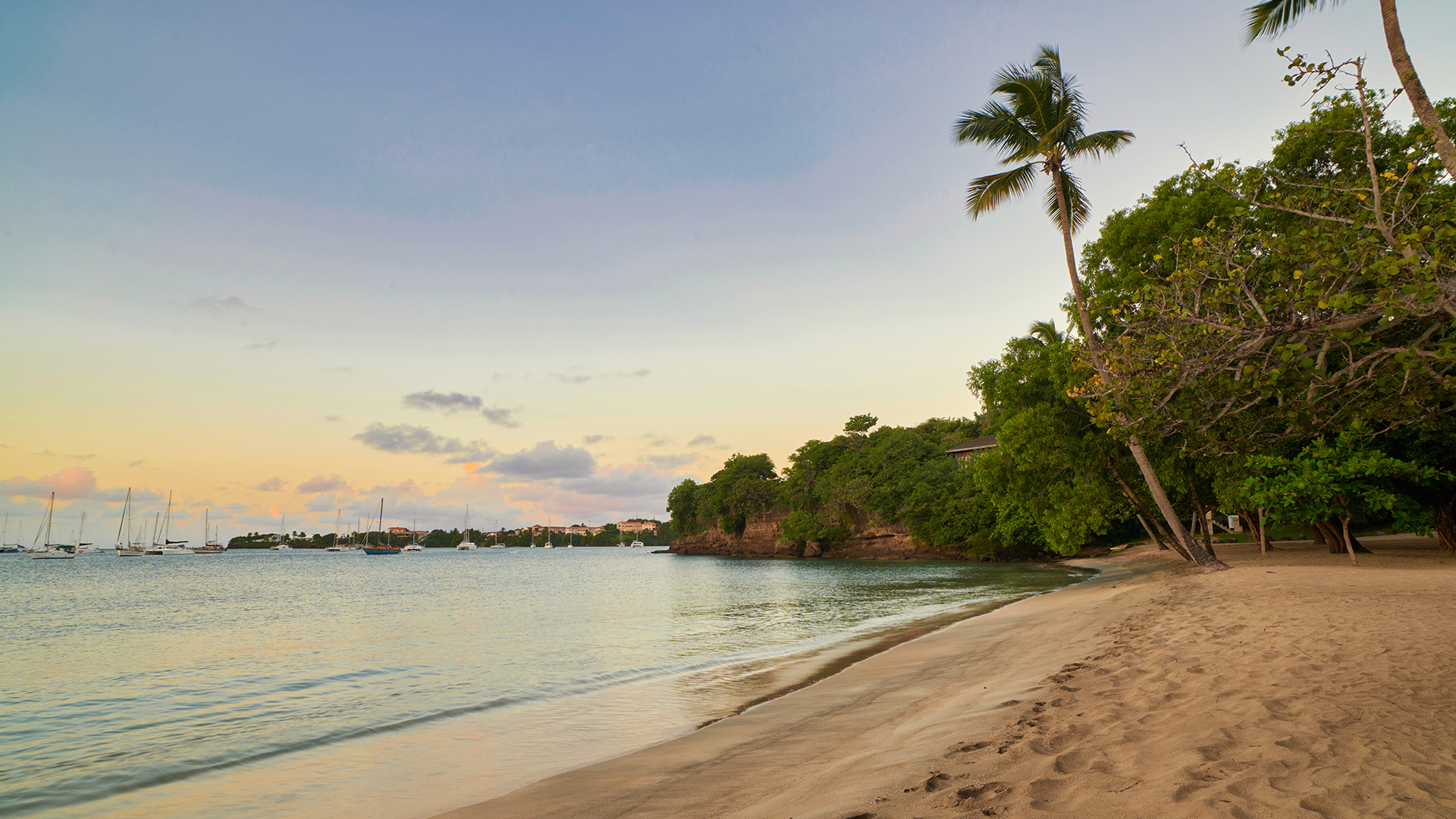 A sandy beach and calm sea in Grenada