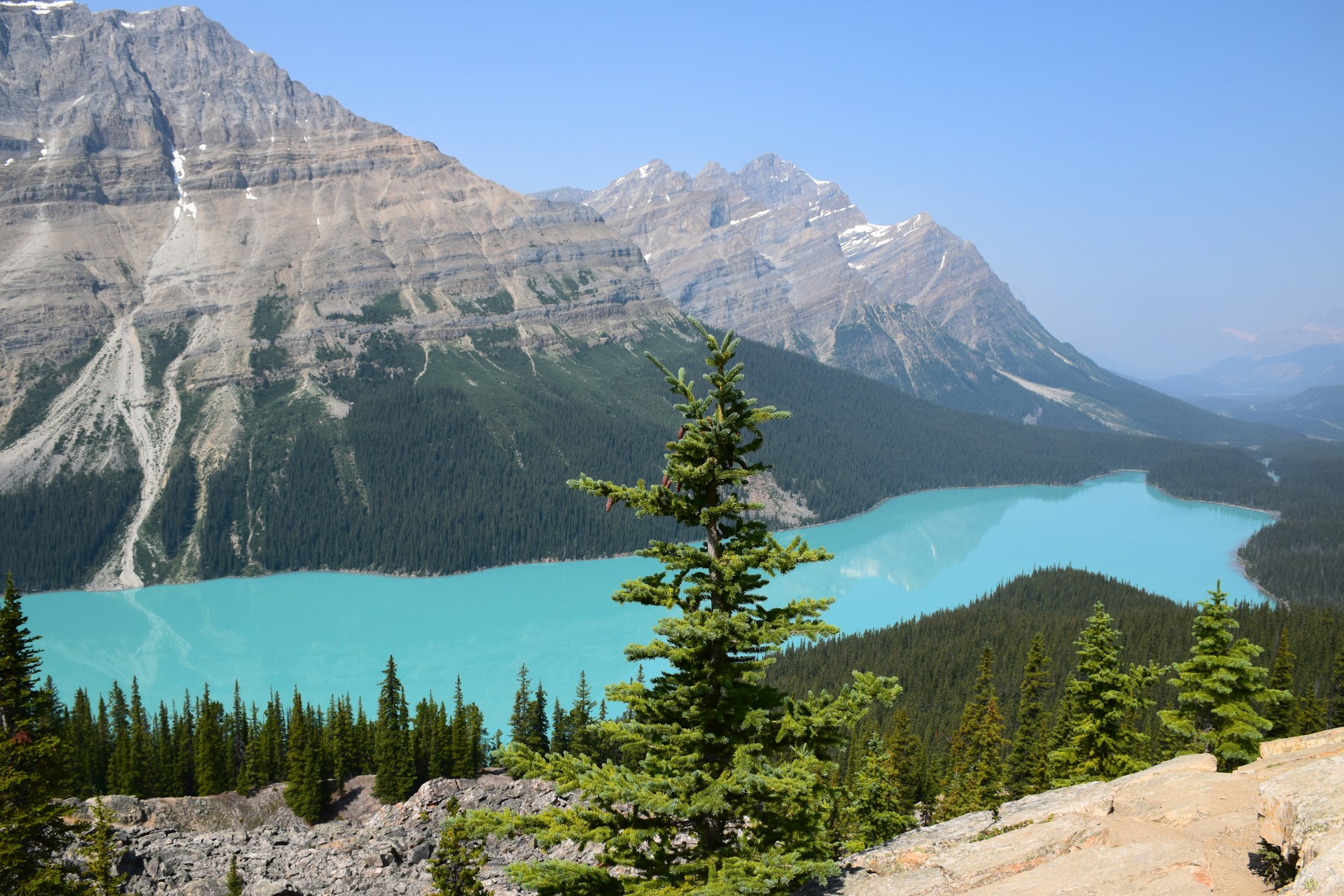 A turquoise lake in the Icefield Parkway surrounded by dense evergreen forests and towering rocky mountains under a clear blue sky