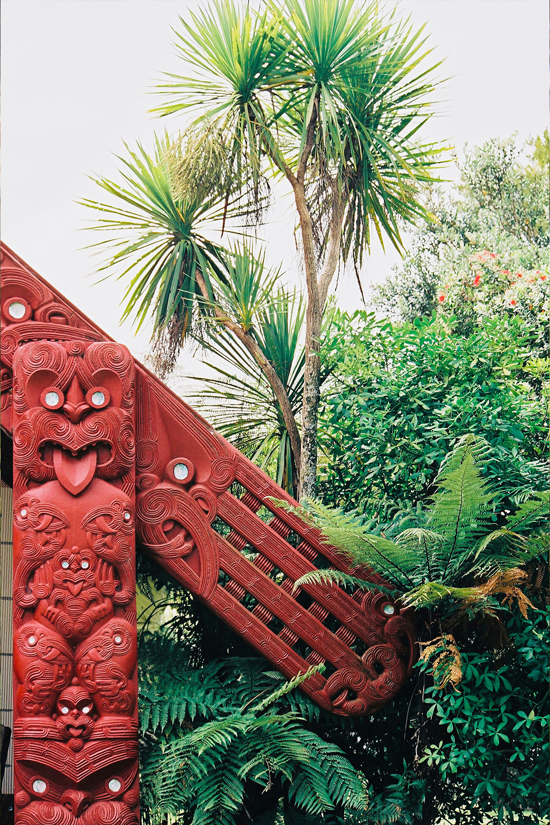 A traditional Maori carved wooden panel with intricate designs in red, set against a backdrop of lush greenery and palm trees.