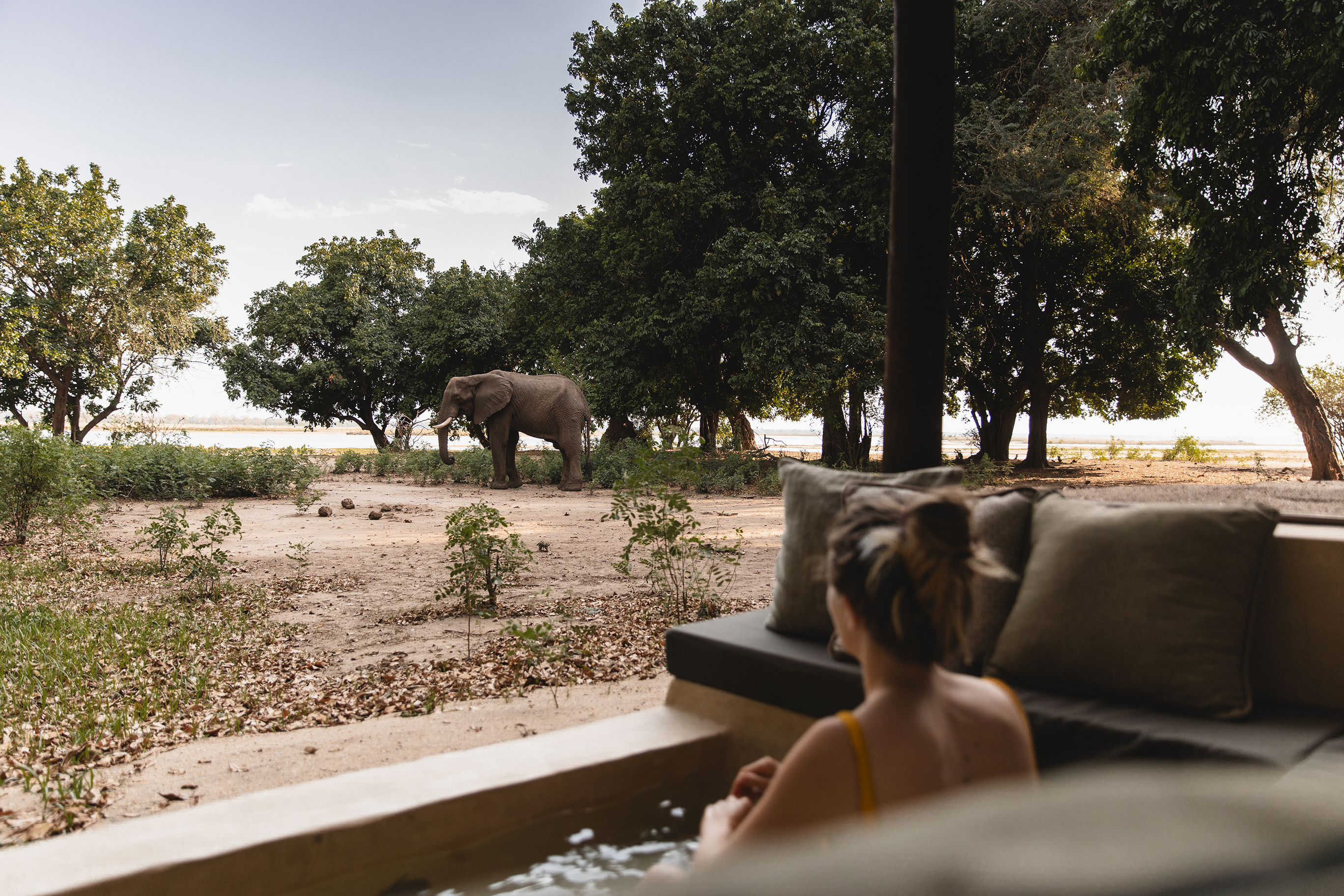 A woman sat in a small plunge pool of a suite at Chiawa Camp looking out to an elephant grazing
