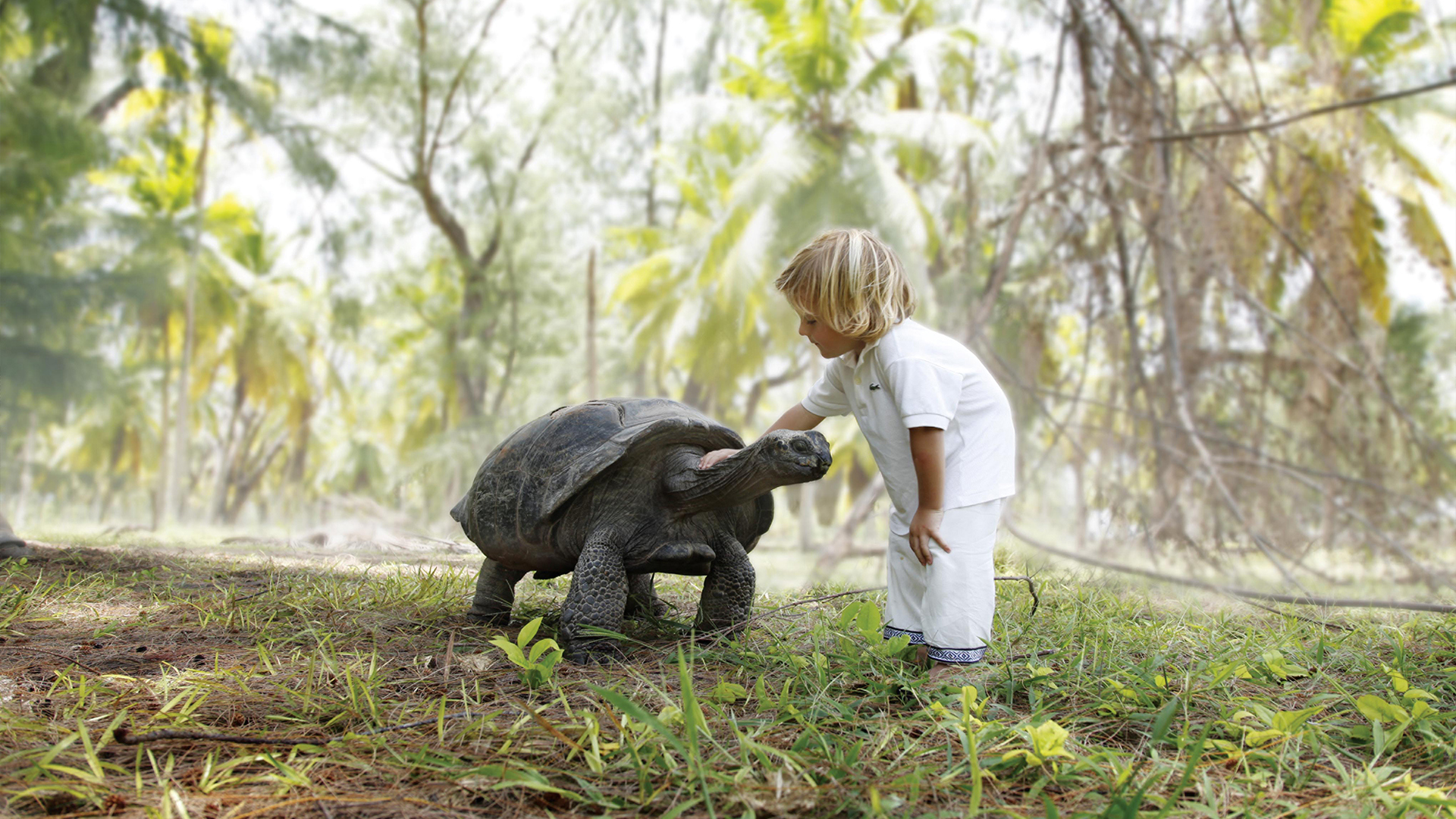 Indian Ocean, Seychelles & Dubai, Tortoise and child