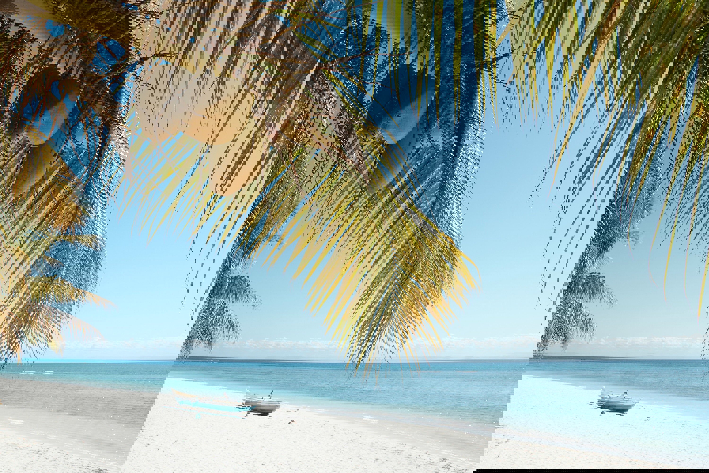 Coconut tree hanging over white sand beach in Madagascar with boat on the sand