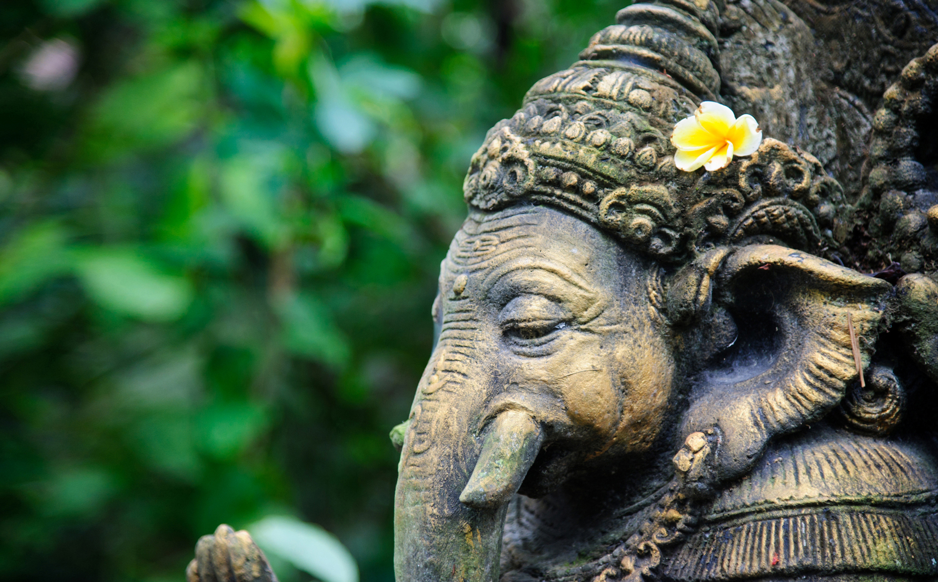 A Ganesh statue with a small flower on its head