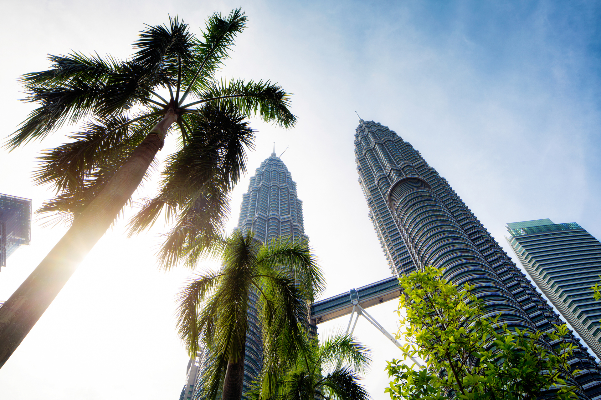 Looking up at the petronas towers and trees