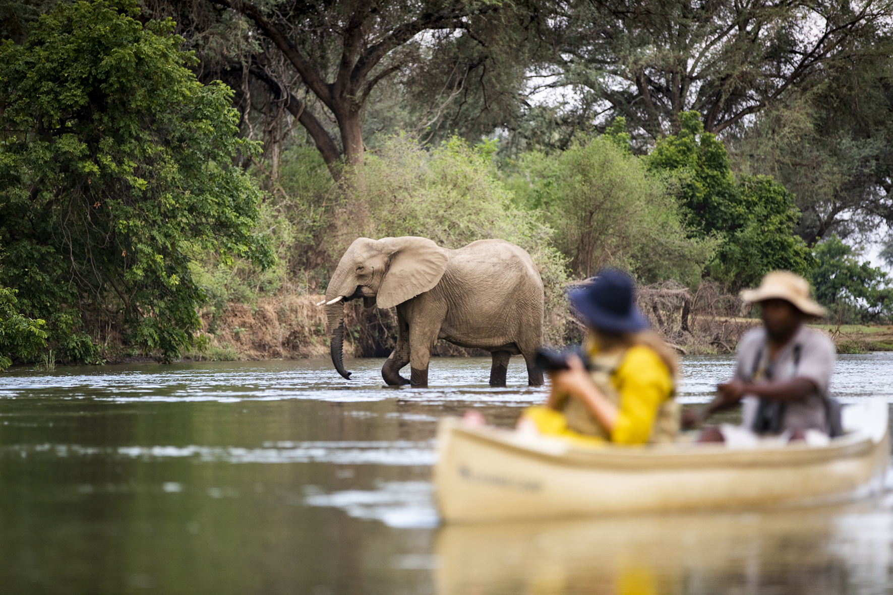 Africa, Zambia, Chiawa Camp, Lower Zambezi, people on a canoe safari looking at elephants over their shoulder